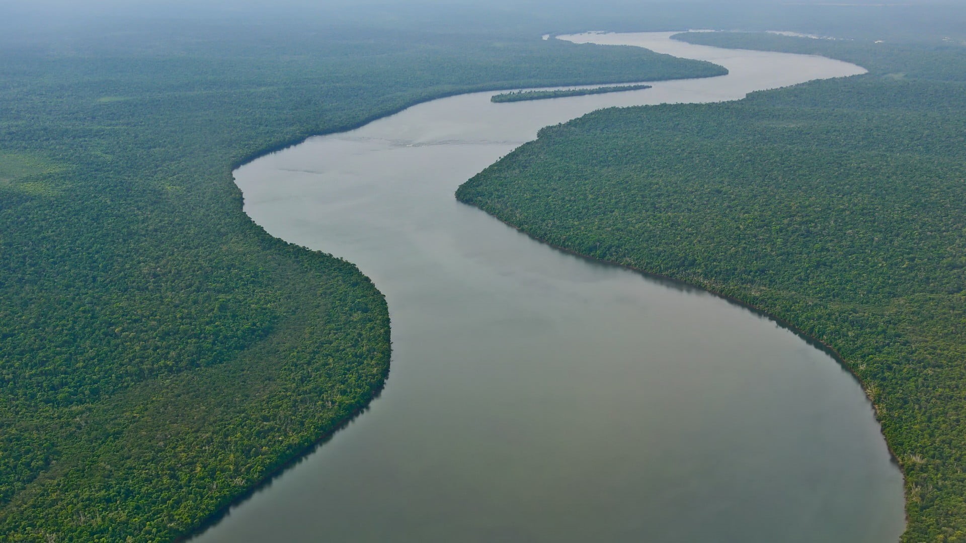 tranquility, idyllic, scenics - nature, green color, 1080P, tree, beauty in nature, Amazon, tropical forest, land, aerial view, sea, forest, plant, outdoors, HD Wallpaper