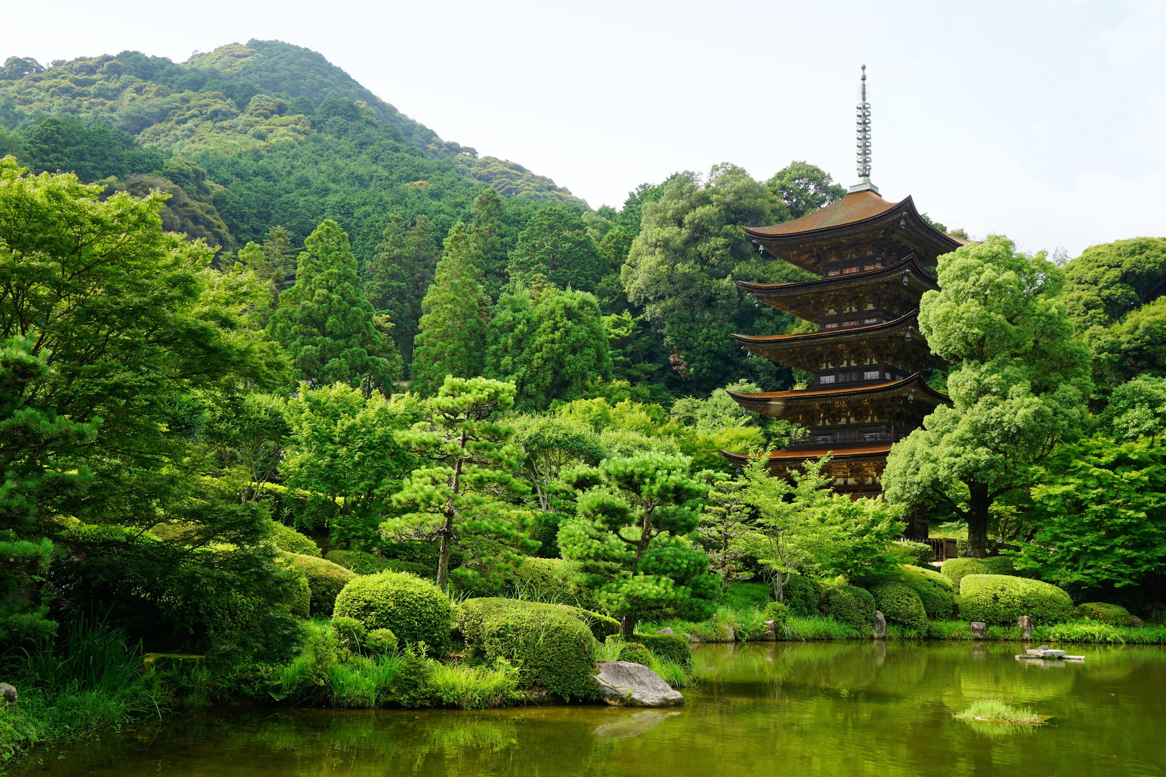 beauty in nature, scenics, place of worship, architecture, chinese Culture, belief, spirituality, japan, ancient, plant, built structure, trees, pond, temple - Building, HD Wallpaper