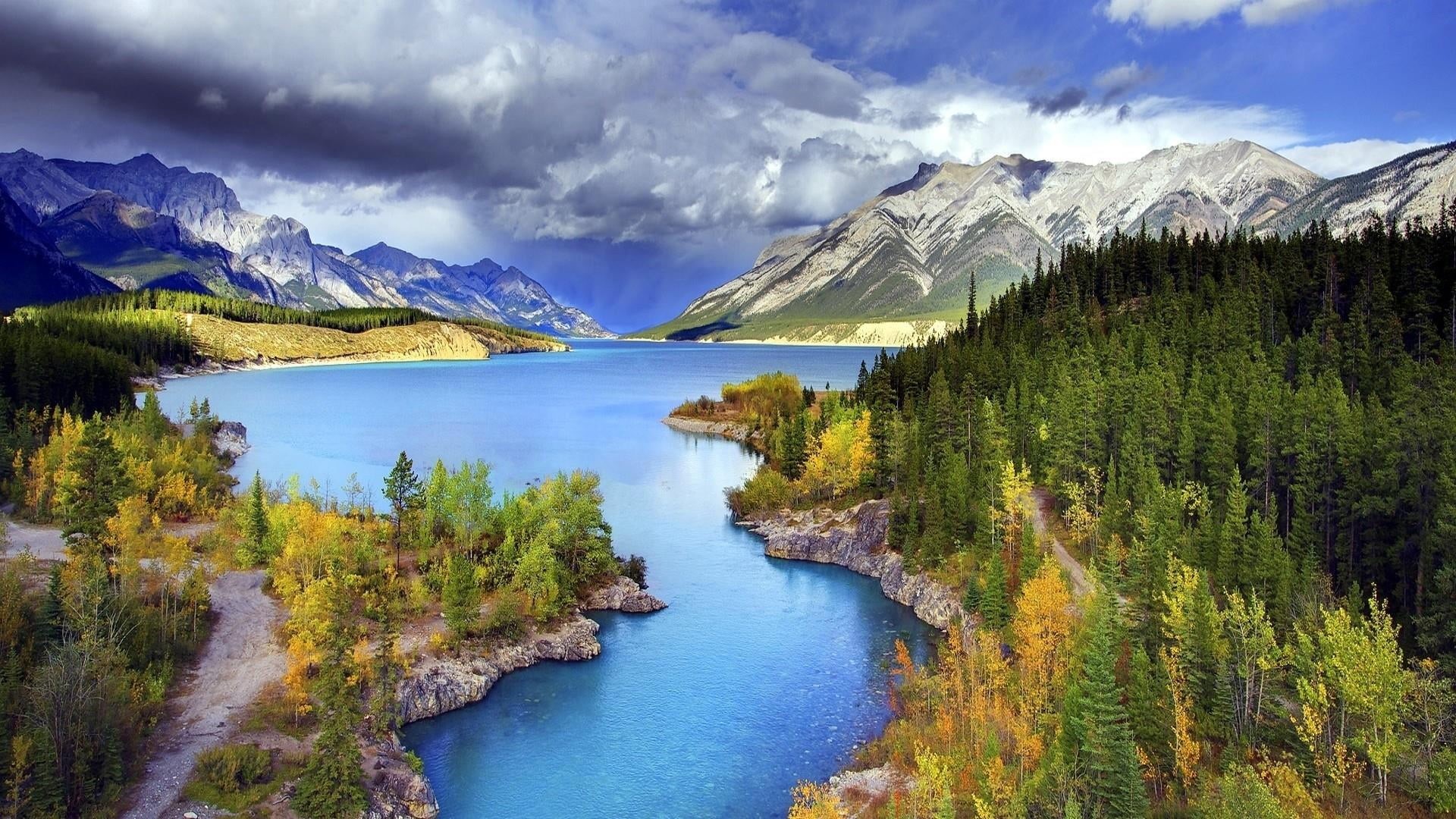 1080P, mountain range, scenics - nature, coniferous tree, no people, land, national park, environment, banff national park, reflection, non-urban scene, HD Wallpaper