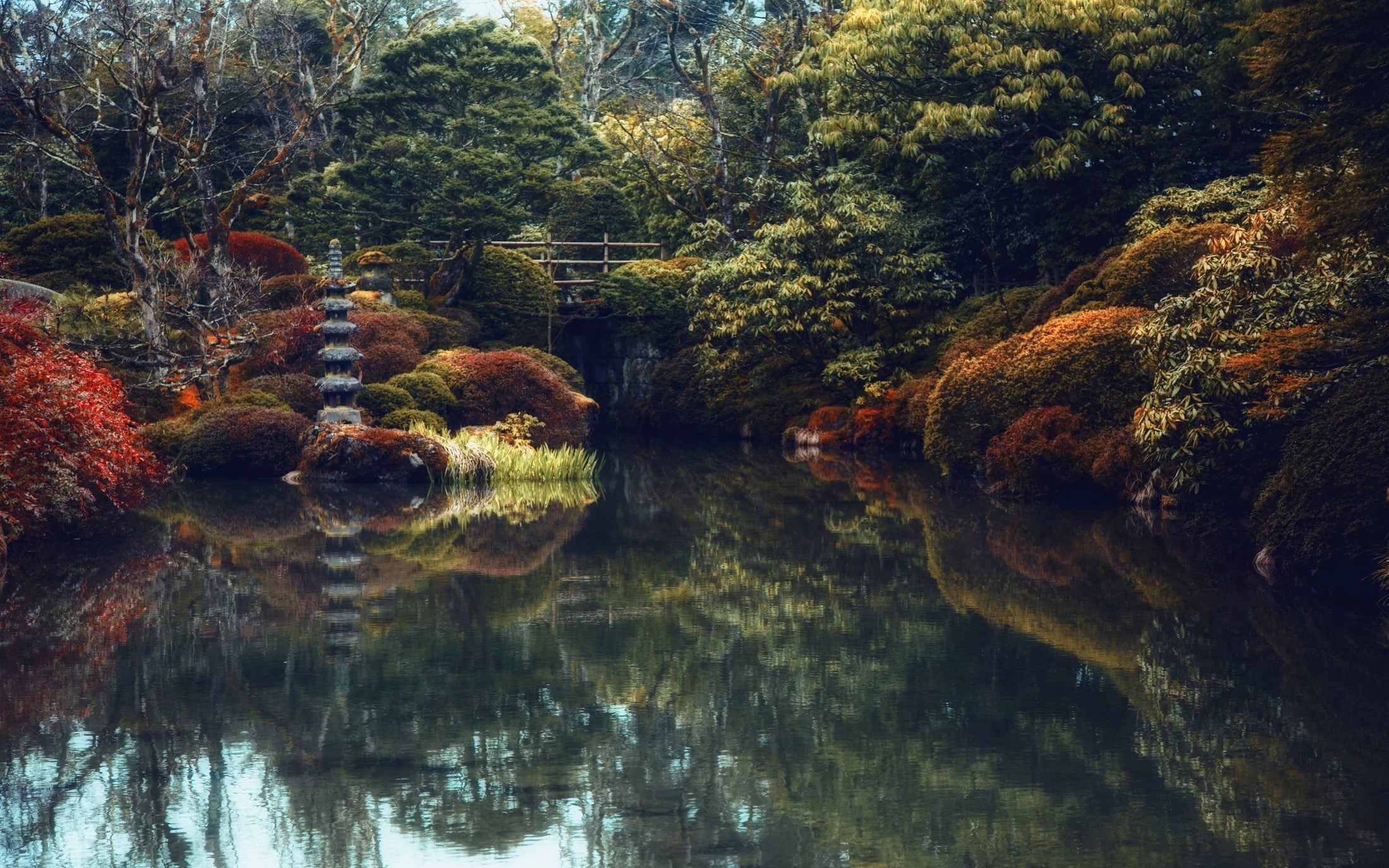 body, plant, growth, garden, beauty in nature, leaf, waterfront, tranquil scene, 1080P, green, change, autumn, lake, tree, outdoors, reflection, water, HD Wallpaper