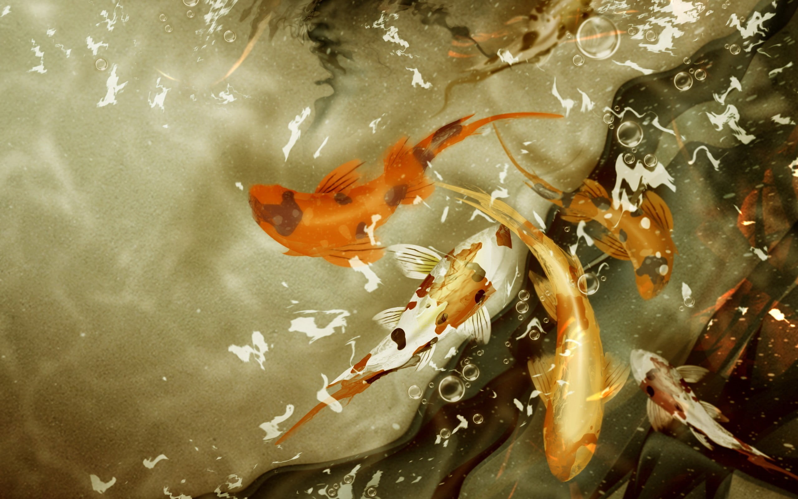 animals in the wild, sea life, marine, 2K, nature, koi, koi carp, school of fish, underwater, outdoors, sea, 155, swimming, school, group of animals, animal wildlife, HD Wallpaper