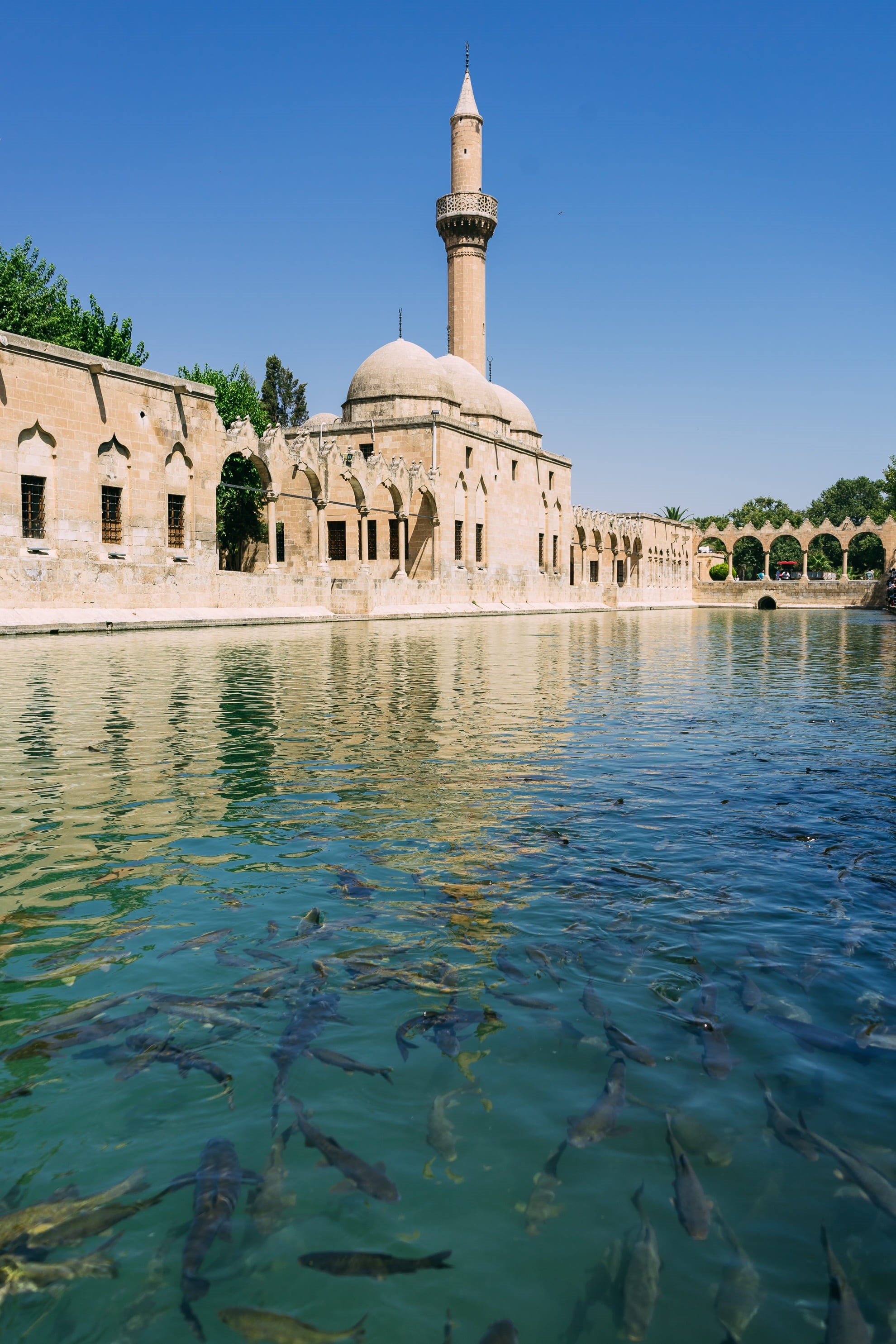 religion, lake, tourism, turkey, belief, architecture, the past, sanliurfa, place of worship, 2K, pond, outdoors, sky, abraham, fish pond, fish, balikligöl, Phone HD Wallpaper