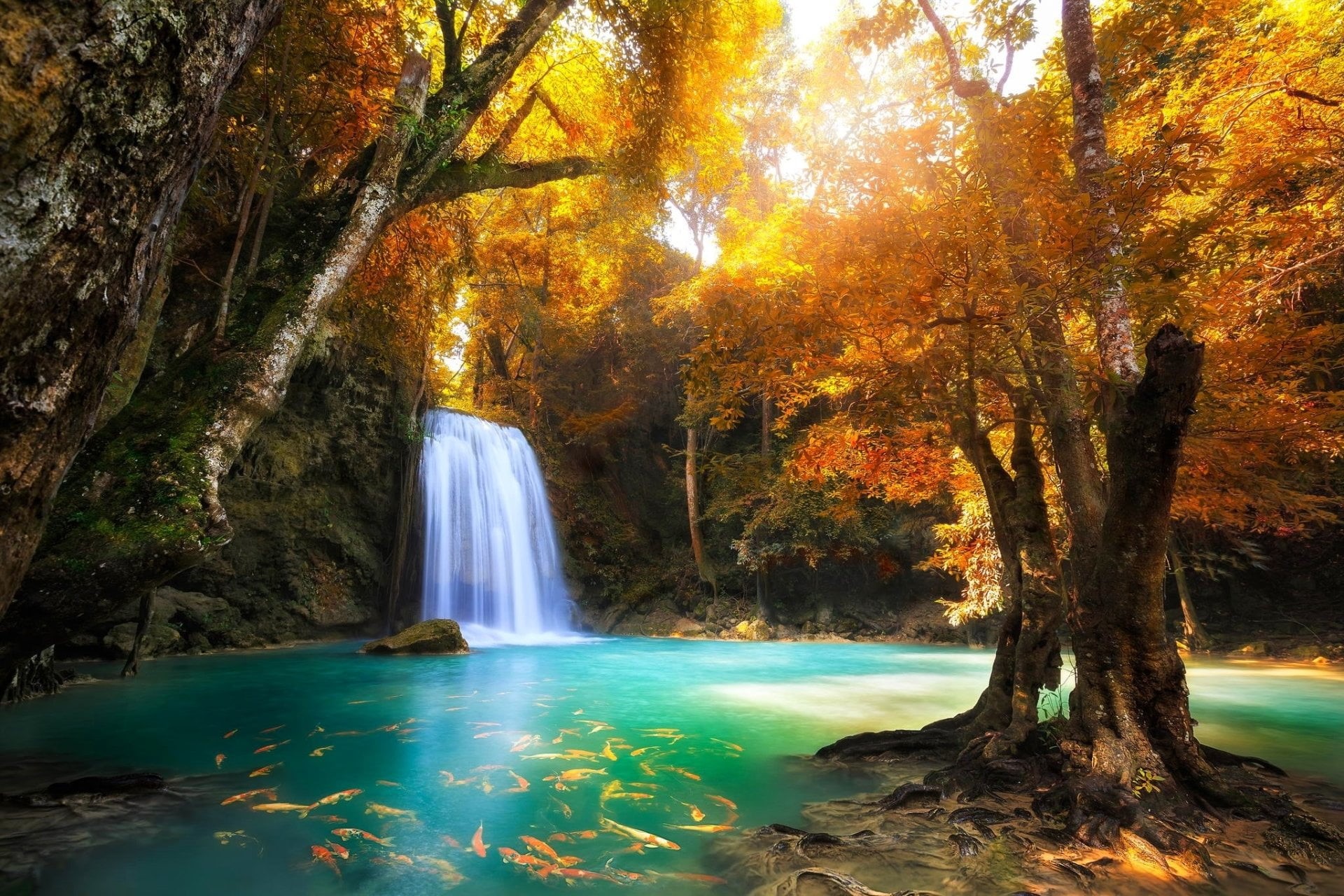 1080P, Nature, Thailand, Pond, change, long exposure, flowing, plant part, no people, flowing water, beauty in nature, Turquoise, outdoors, non-urban scene, HD Wallpaper