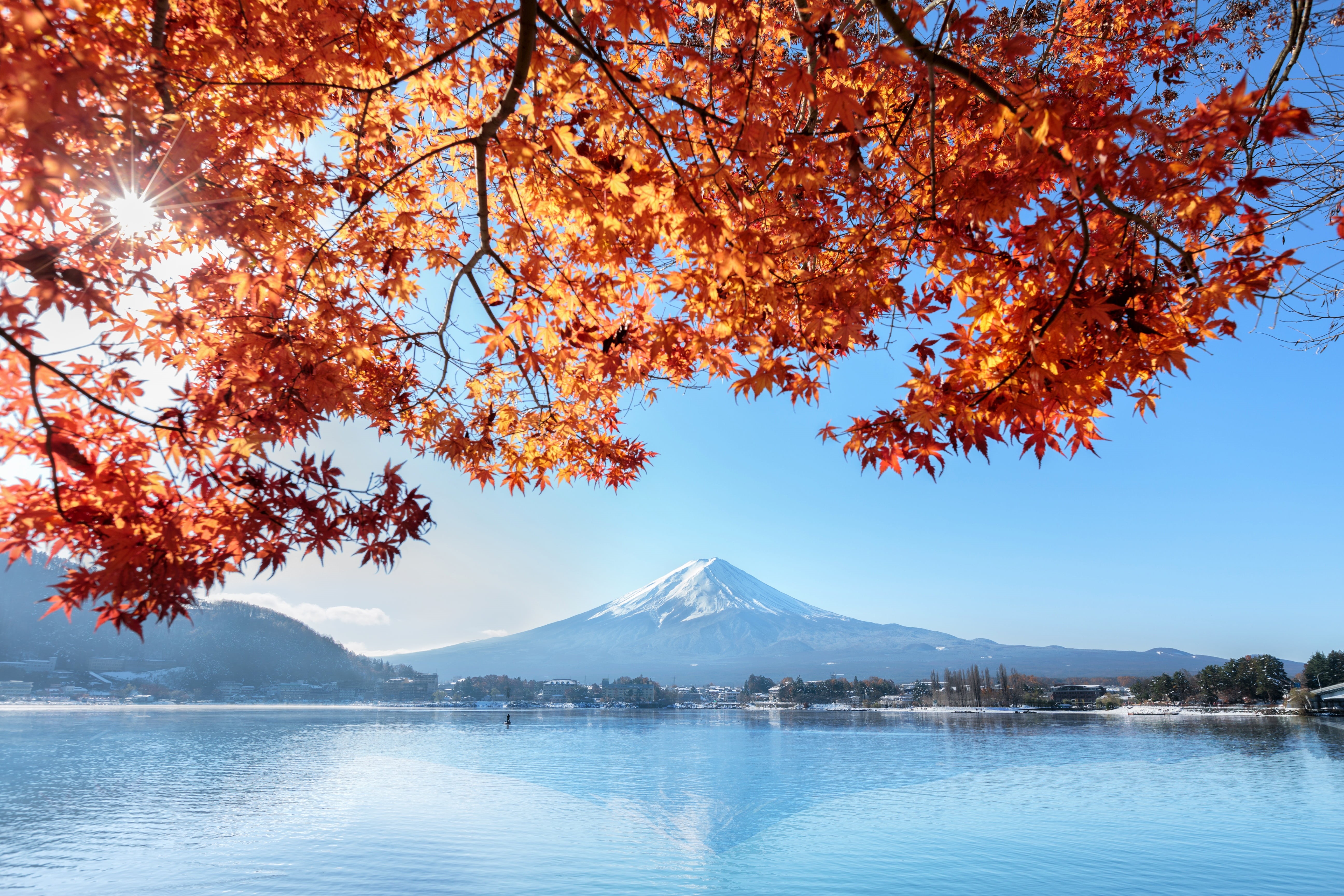 red, the sky, colorful, landscape, autumn, Fuji Mountain, Japan, leaves, maple, mount Fuji, 5K, HD Wallpaper