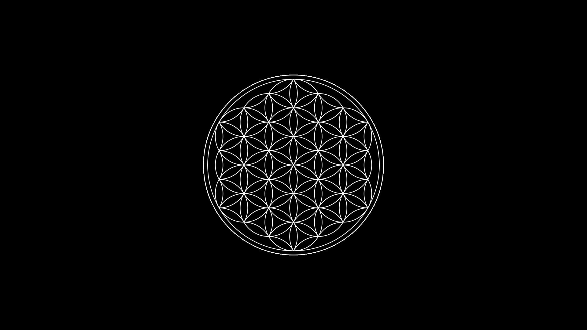 circle, Flower Of Life, 1080P, minimalism, symbols, black background, Sacred Geometry, HD Wallpaper