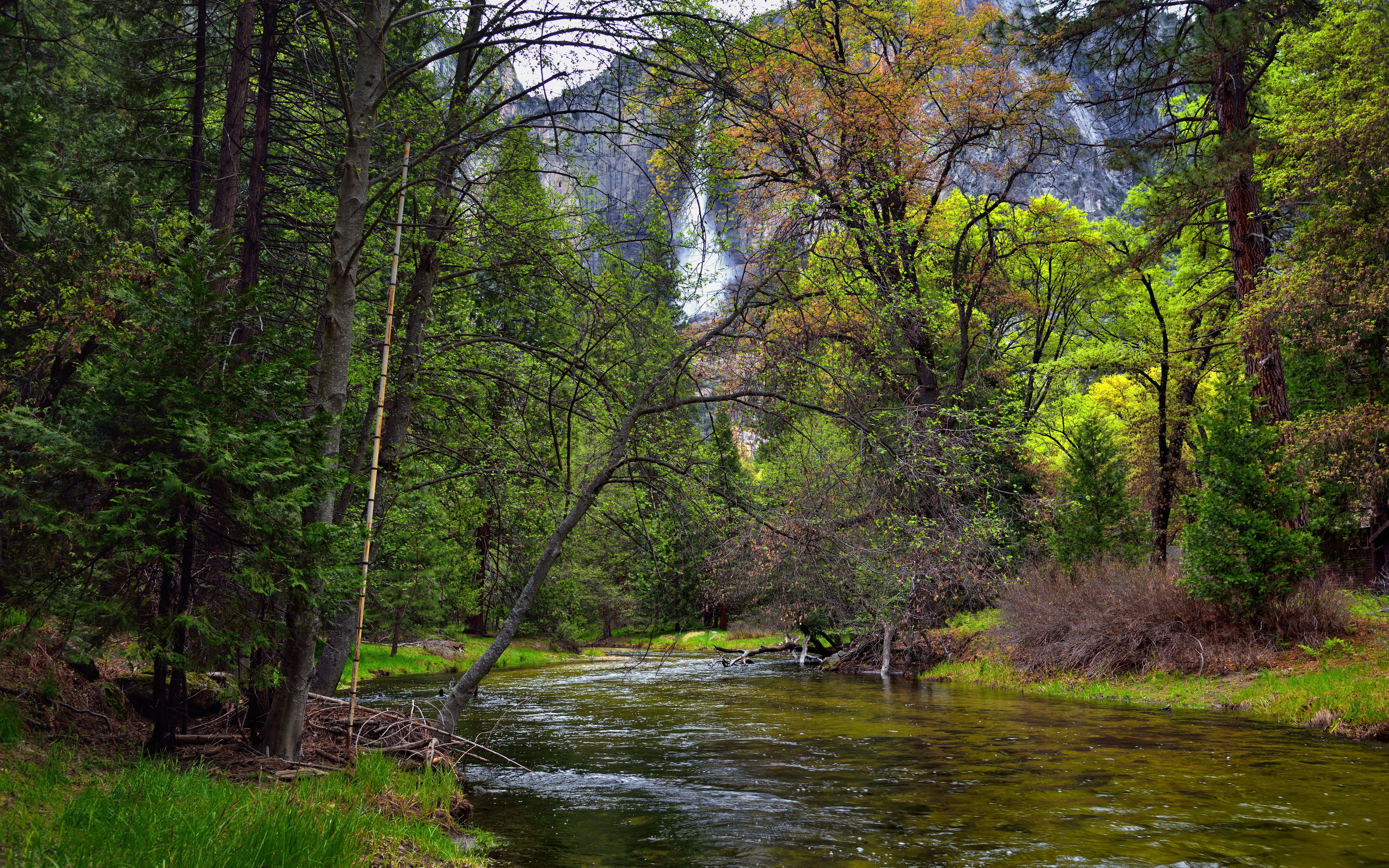 Yosemite Falls, tress, scenics, Yosemite National Park, forest, landscape, CA, water, Edited, Capture, river, green plants, outdoors, surrounded, tree, HD Wallpaper