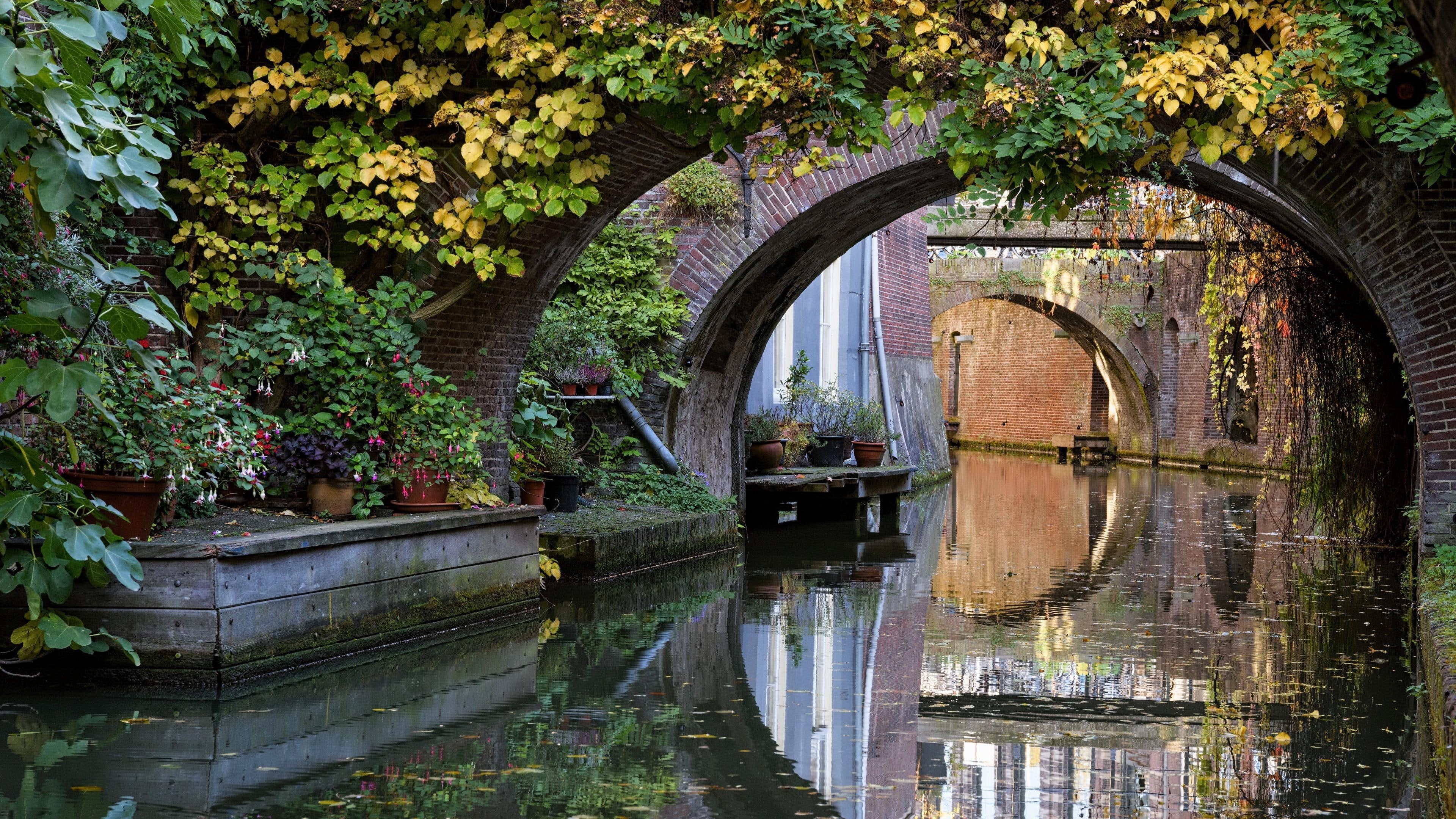 bridge, canal, utrecht, reflection, 4K, waterway, netherlands, tree, river, water, flora, plant, nature, HD Wallpaper