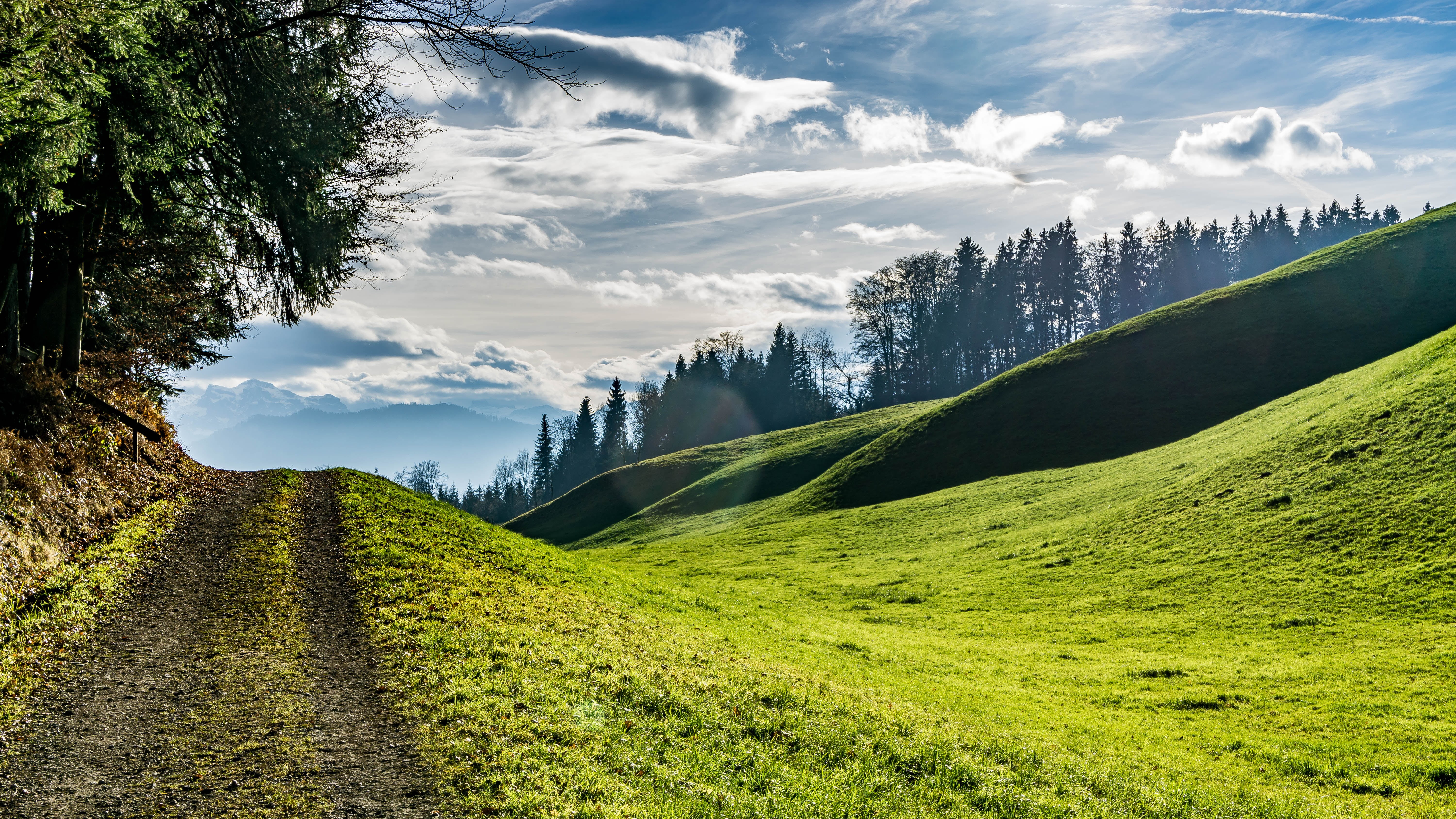 Day  field, forest  Canton, Winter, tree, outdoors, summer, Switzerland, meadow, grass, green, forest, green Color, sky, green grass, landscape, 5K, Sunny, HD Wallpaper