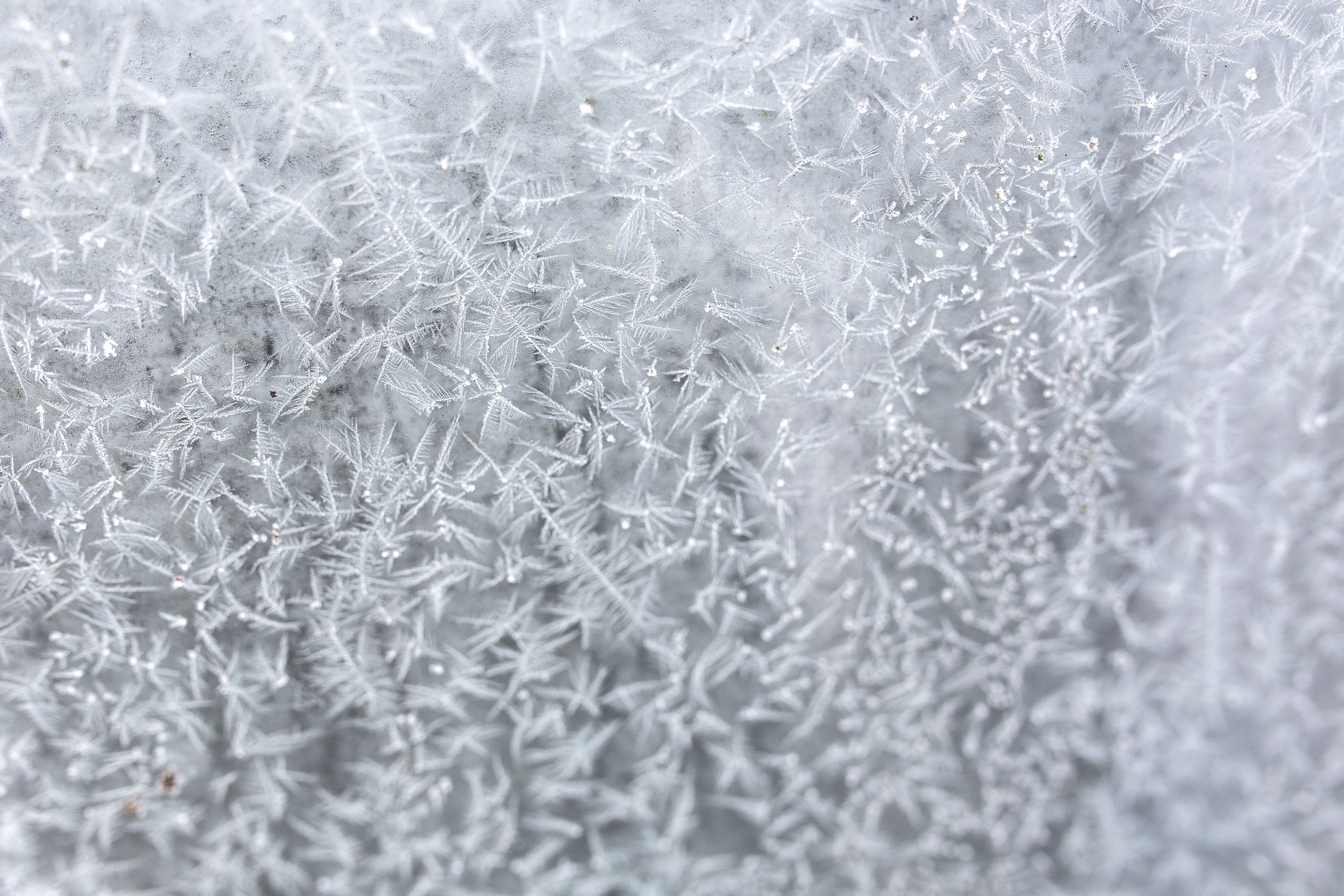 white, Frosty, 4K, ice, shiny, cold - Temperature, no people, winter, pattern, background, backgrounds, snowflake, cold, nature, snow, purity, full frame, HD Wallpaper