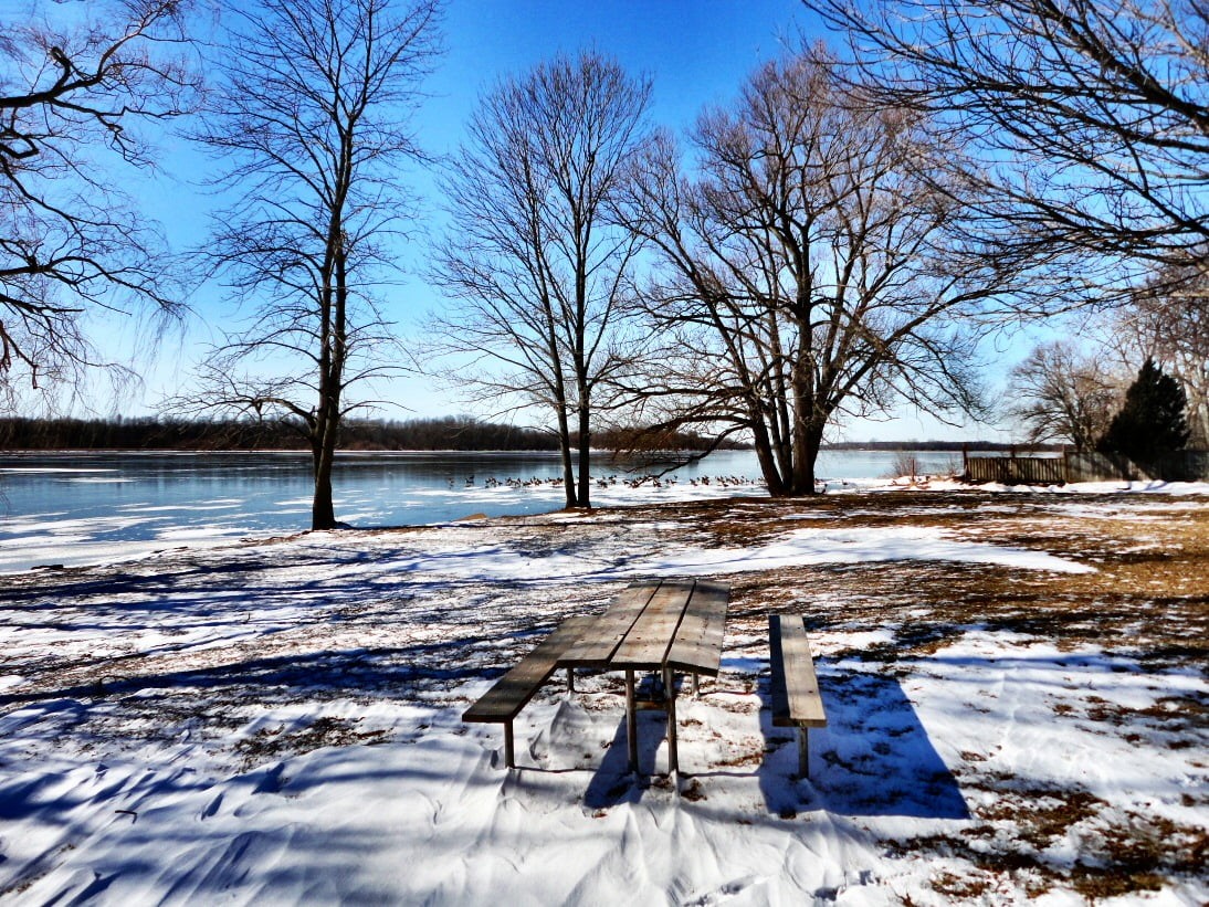 trees, nature, brown, outdoors, 480P, season, tree, cold - Temperature, table, frost, landscape, winter, wooden, bare, near, picnic, snow, snowfield, frozen, HD Wallpaper