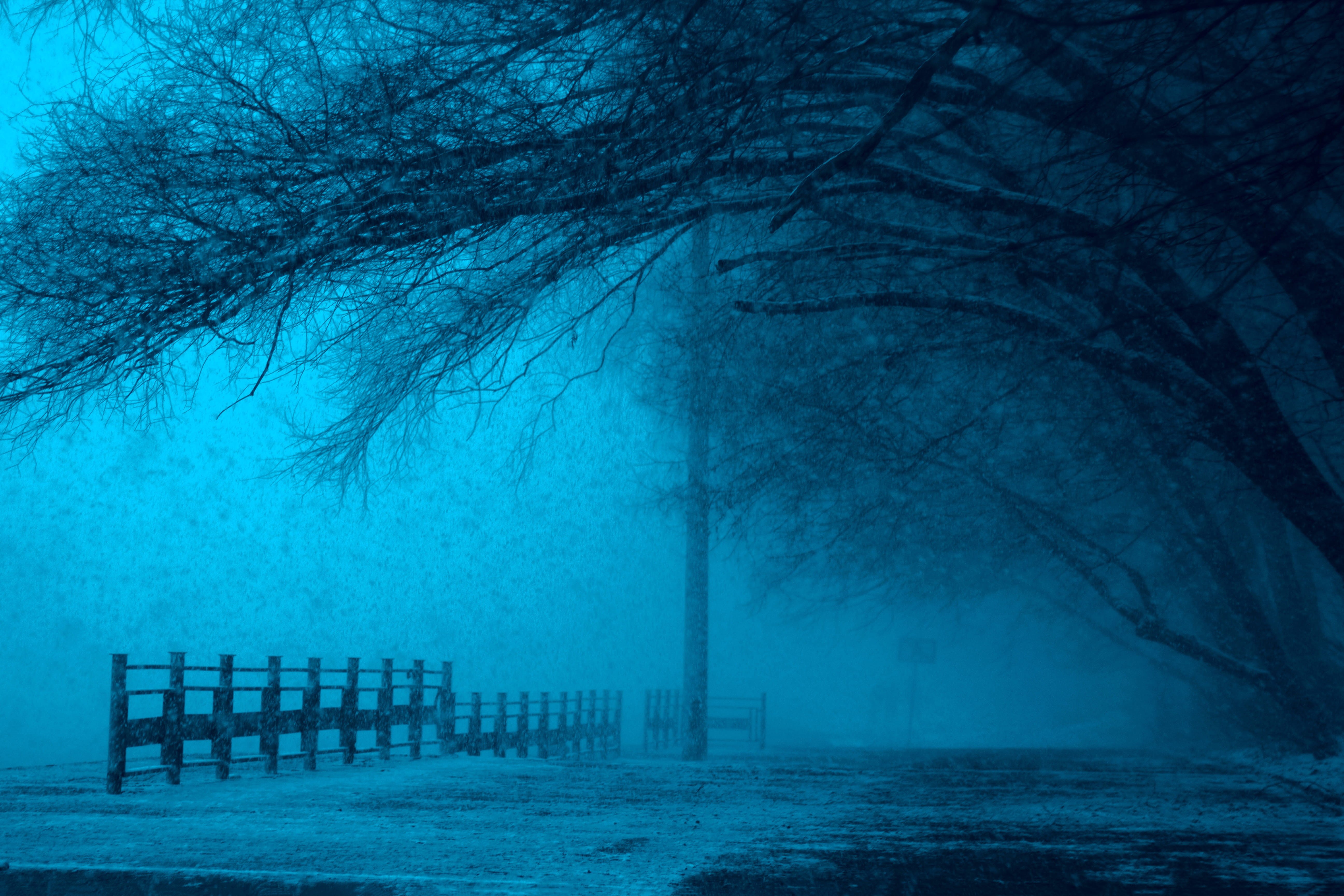 spooky, dark, 5K, woodland, plant, nature, park bench, cold - Temperature, no People, absence, scenics, snow, tree, tranquil scene, forest, barrier, evening, HD Wallpaper