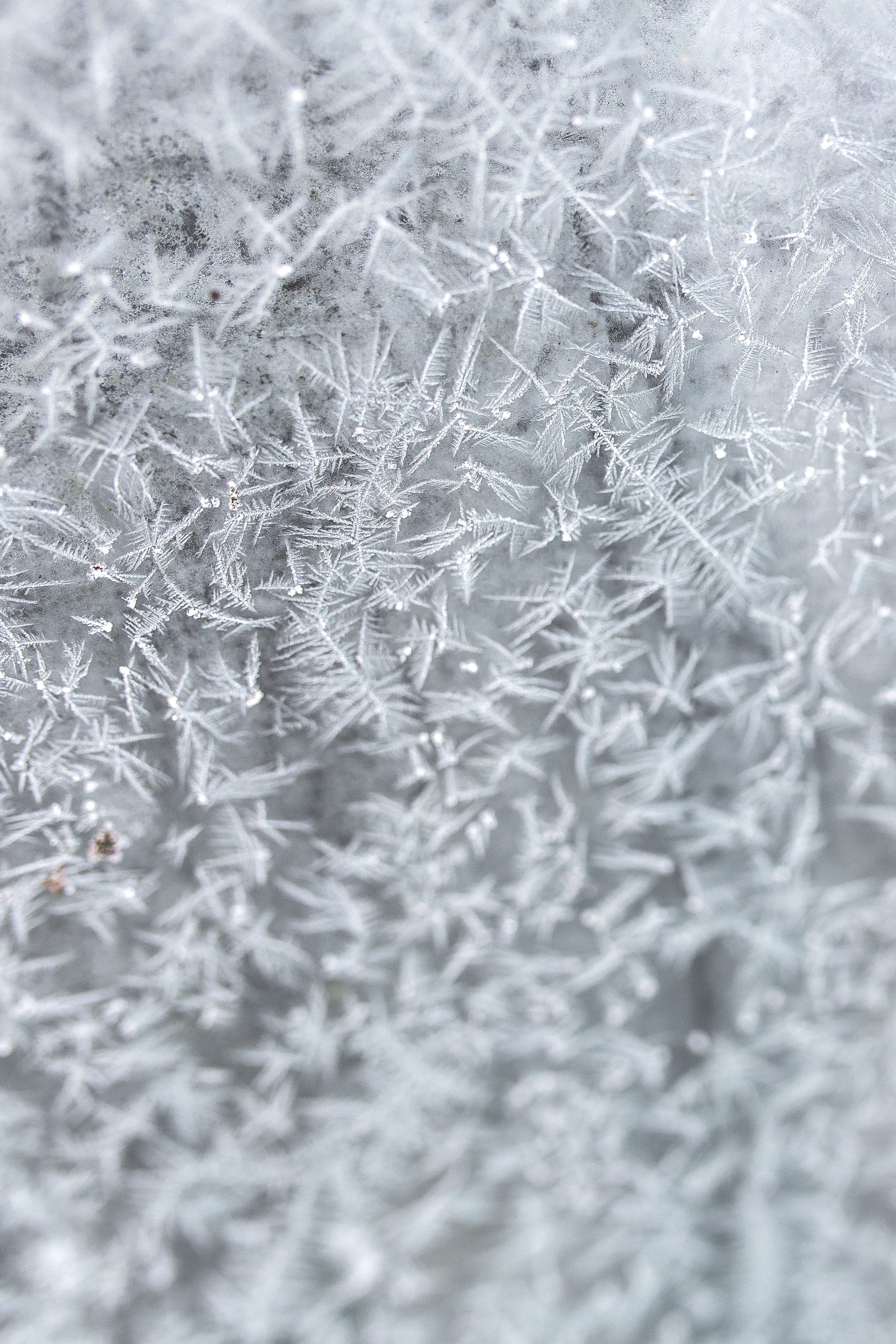 frozen, abstract, winter, textured, close-up, abstract backgrounds, frost, white, material, pattern, snow, textured effect, indoors, macro, white color, Phone HD Wallpaper