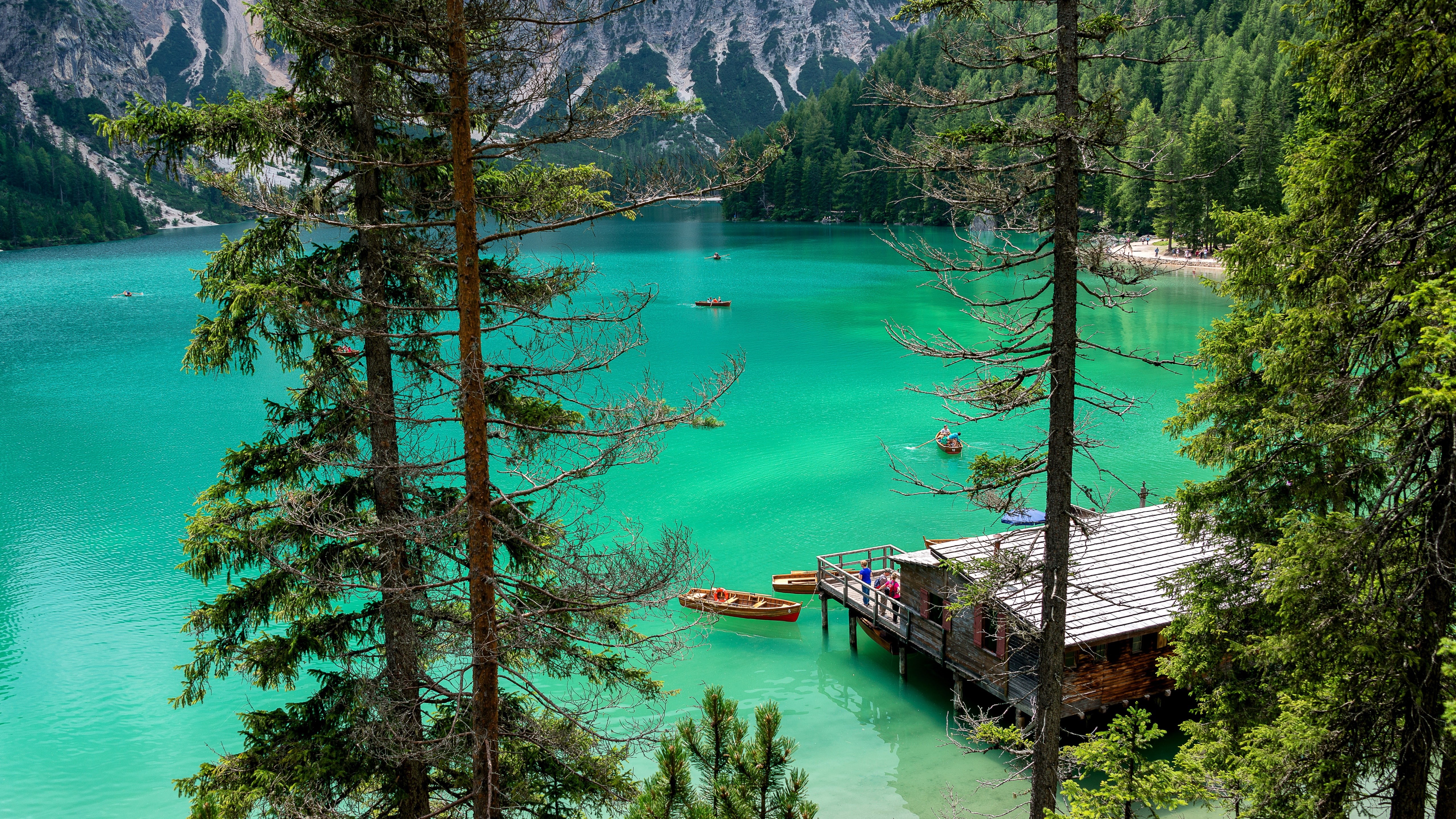 prags, lake braies, tree, nature, lake, alps, water, wilderness, dolomites, 5K, lago di braies, prags valley, pragser wildsee, crater lake, emerald green, HD Wallpaper