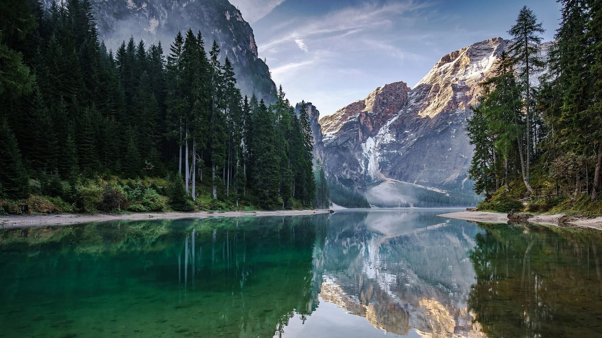 tree, forest, prags, day, cloud - sky, mountain range, idyllic, water, mountain, scenics - nature, italy, land, reflection, tranquility, environment, dolomite mountains, HD Wallpaper
