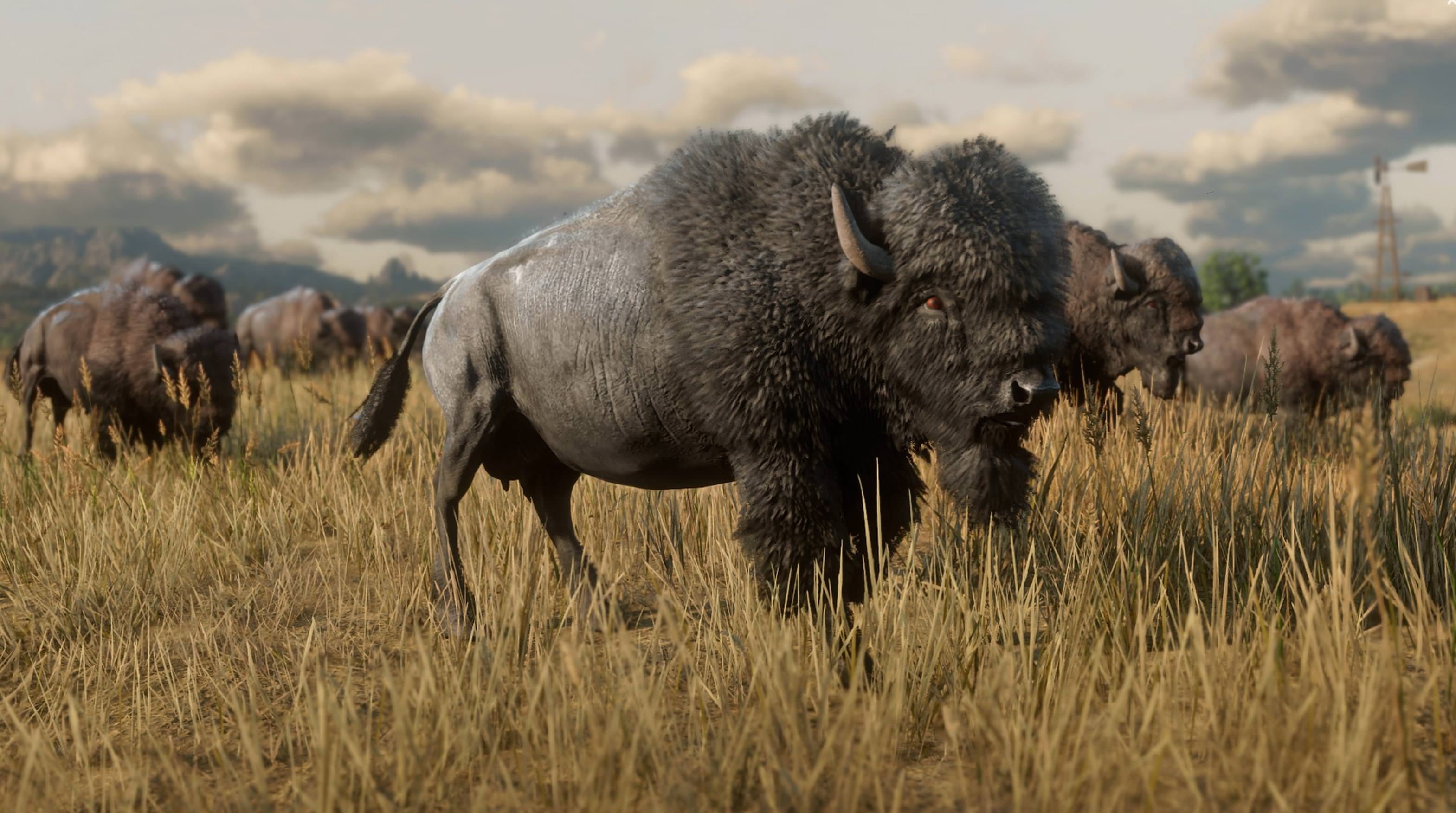animal themes, land, video games, day, american bison, field, sky, mammal, Rockstar Games, domestic animals, 2K, landscape, animal, herbivorous, nature, HD Wallpaper