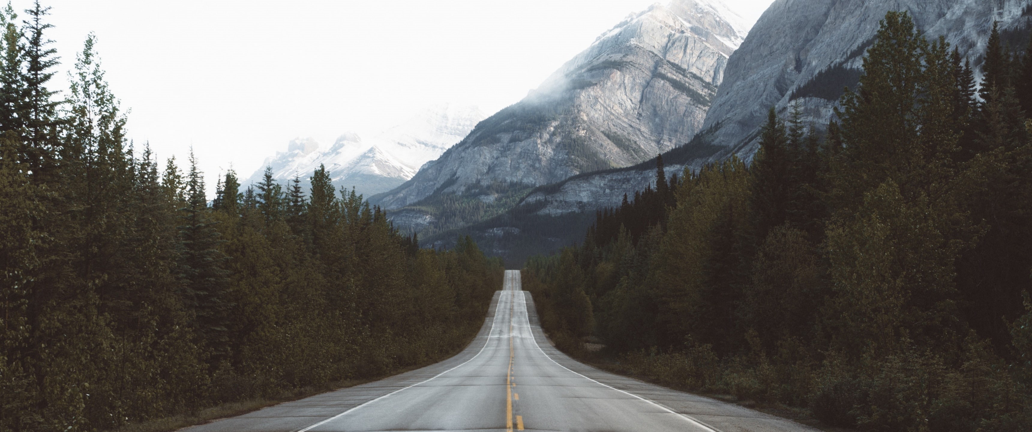 cold temperature, outdoors, snow, plant, scenics - nature, transportation, tranquility, no people, mountain range, mountain, road, dividing line, winter, HD Wallpaper