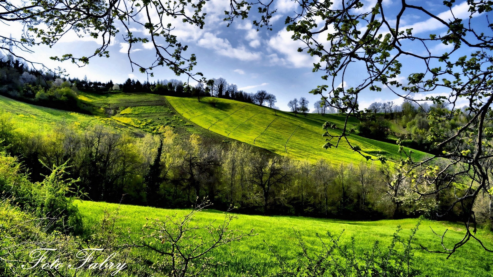 beauty in nature, non-urban scene, outdoors, rolling landscape, land, grass, green color, tree, growth, no people, tranquility, plant, field, day, sky, HD Wallpaper