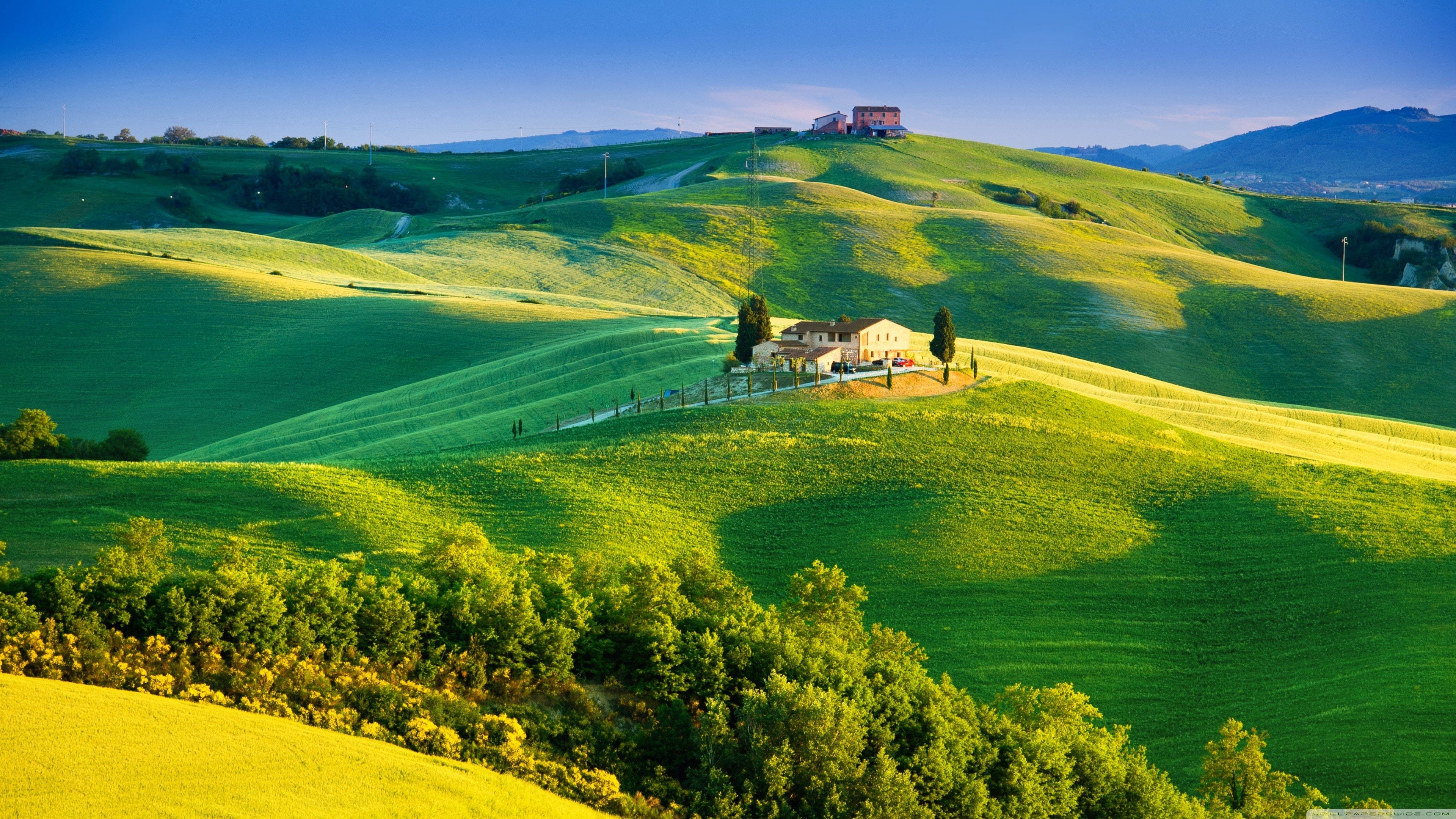 naturaleza, 4K, verde, paisaje, prado, HD Wallpaper