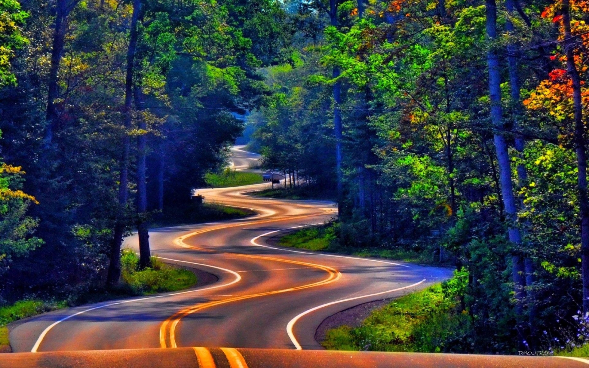 naturaleza, 1080P, curvas, arboles, carretera, HD Wallpaper