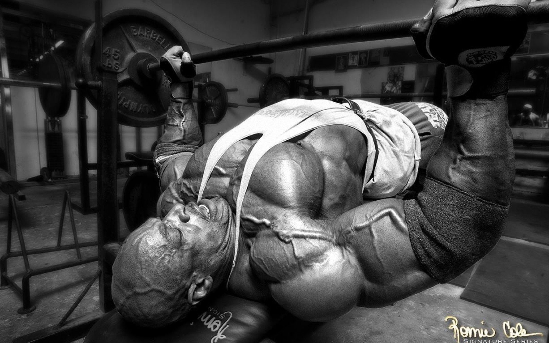 muscles, lifting, 1080P, weight, muscle, fitness, body building, bodybuilding, HD Wallpaper