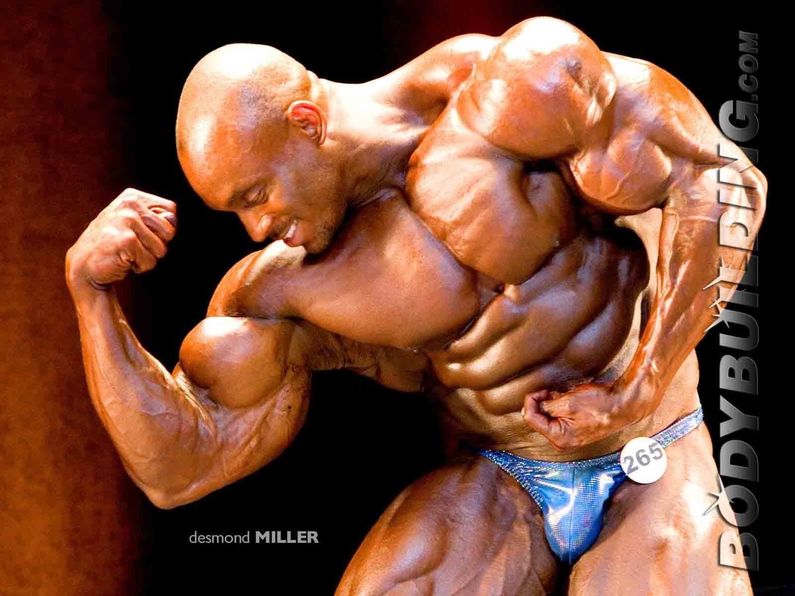 bodybuilding, body building, weight, lifting, muscles, muscle, fitness, 720P, HD Wallpaper