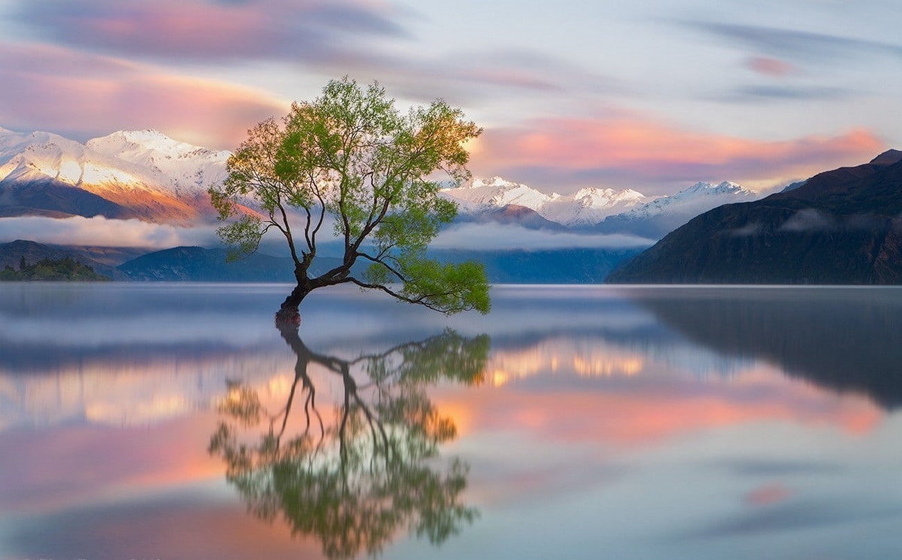 photography, Calm waters, landscape, New Zealand, 720P, Snowy Peak, reflection, Trees, mountains, Lake Wanaka, nature, sunrise, HD Wallpaper