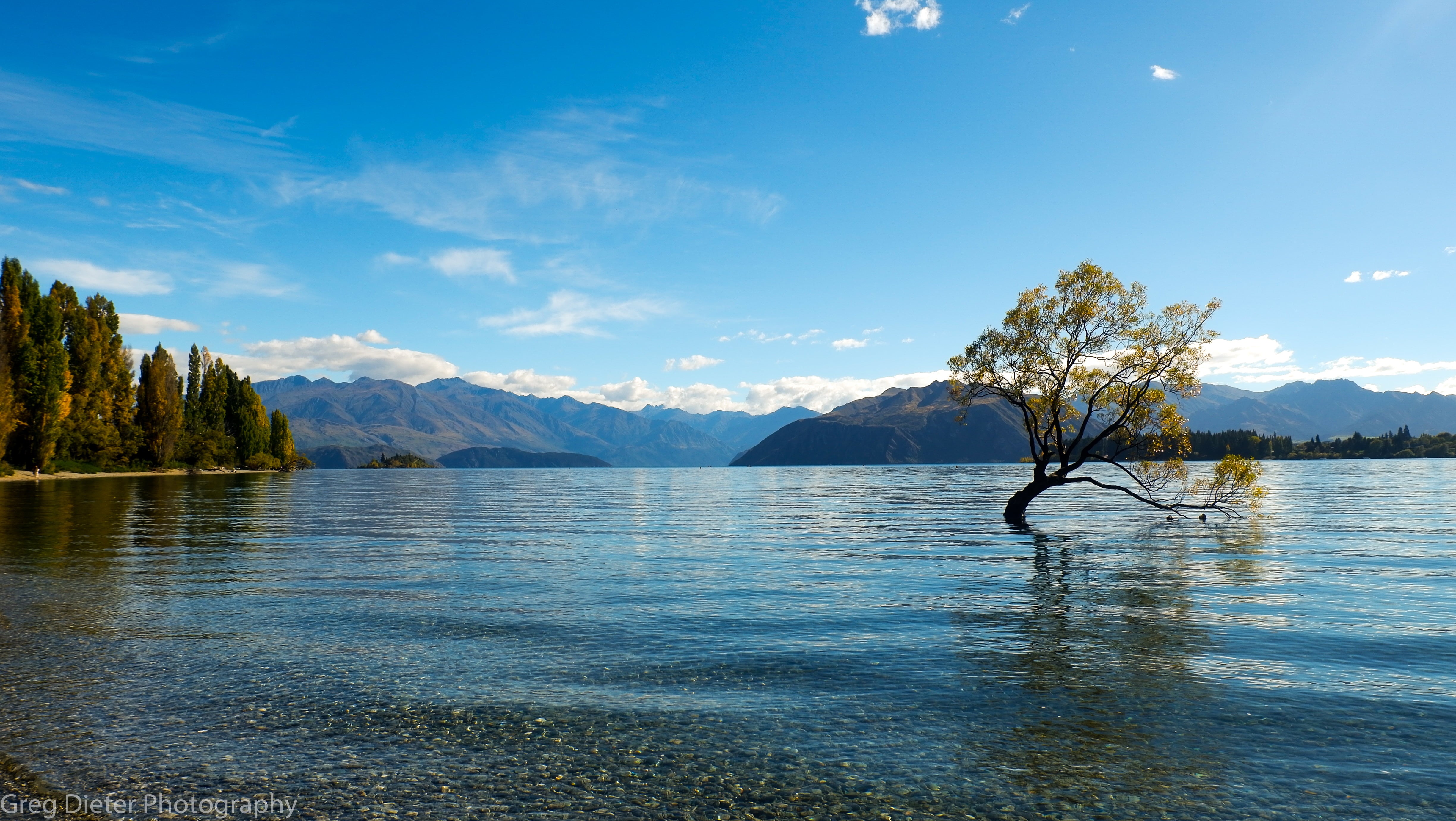 white, mountains, vacations, plant, lake, forest, New Zealand, scenics - nature, scenics, sky, sea, water, travel, waterfront, beauty In Nature, mountain Range, HD Wallpaper