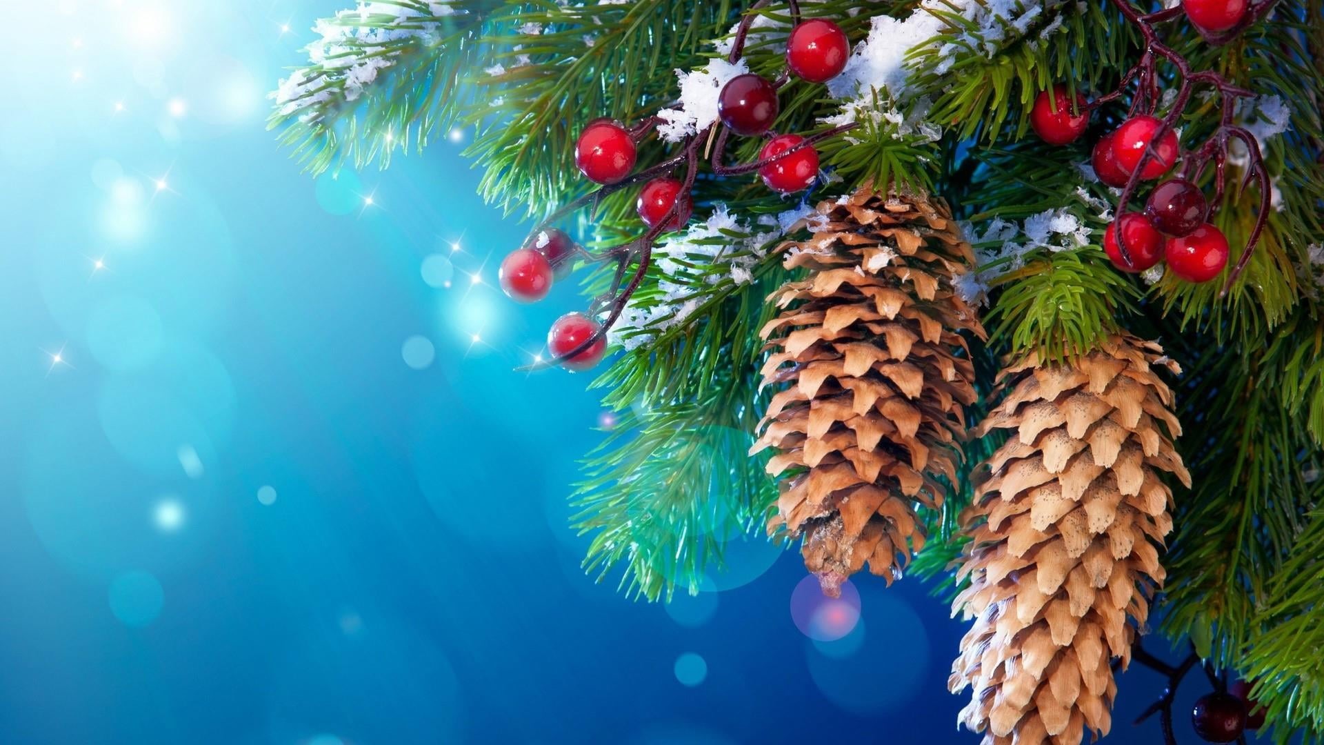 tree, leaf, plant, decoration, outdoors, christmas ornament, pine, no people, close-up, fruit, conifer, celebration, pine family, food and drink, fir, christmas, HD Wallpaper