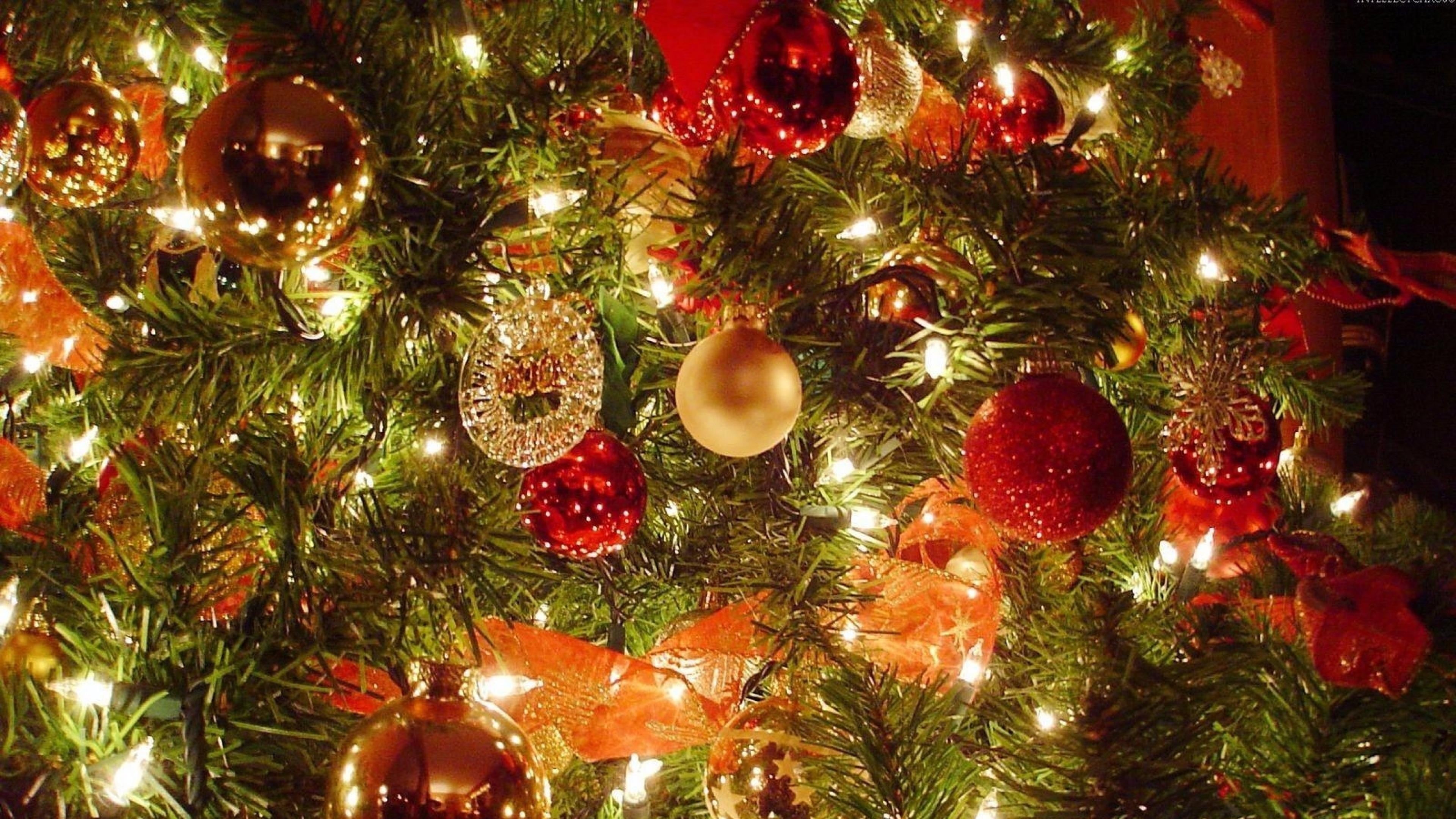 pine, evergreen, tradition, christmas decoration, christmas ornament, spruce, close-up, red, christmas tree, garlands, celebration event, christmas lights, HD Wallpaper