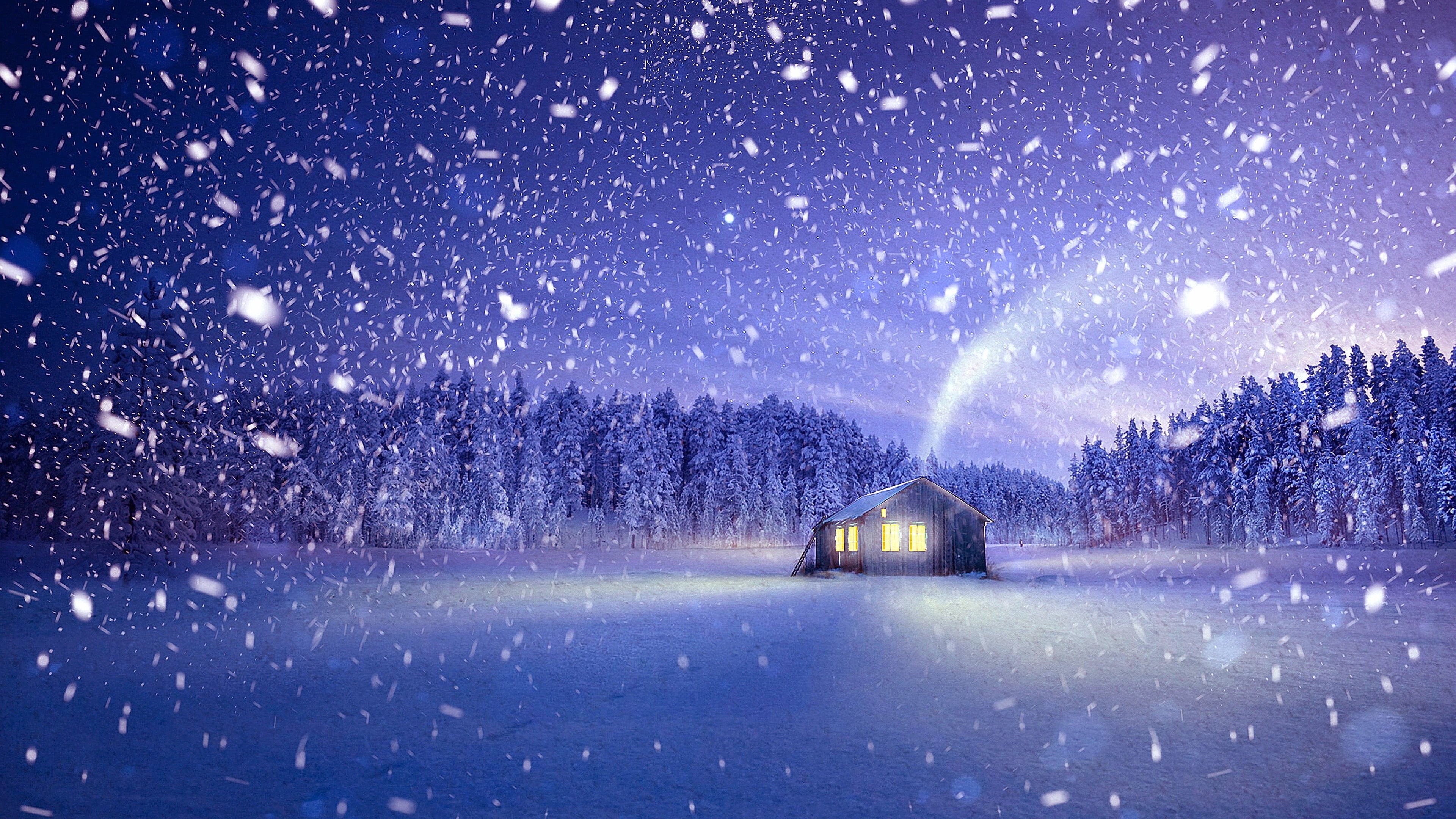 scenics - nature, nature, environment, snowing, mode of transportation, blizzard, extreme weather, illuminated, night, sky, freezing, no people, plant, HD Wallpaper