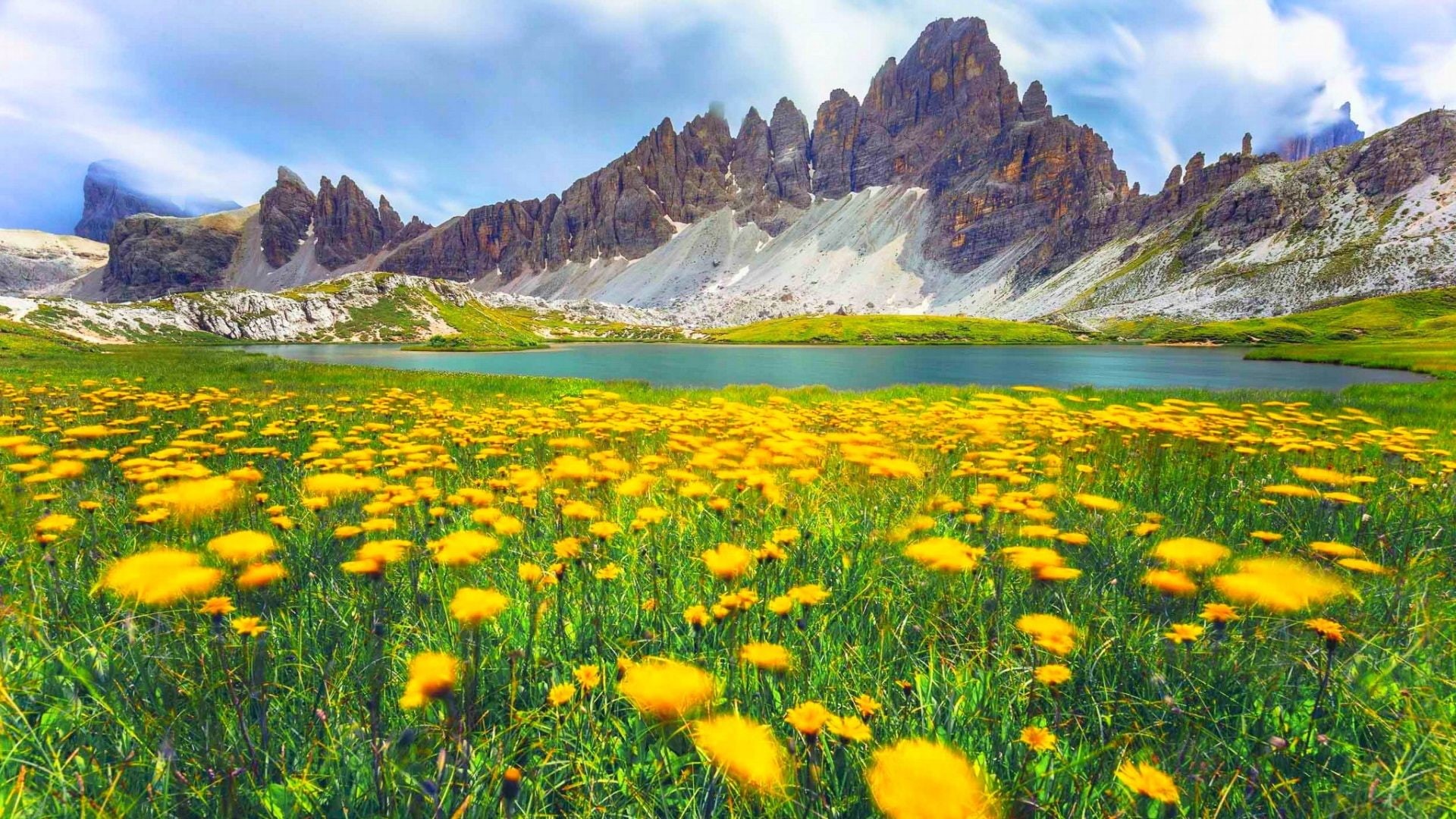 wild, flowers, mountains, dolomites, yellow, spring, green, 1080P, hd, beautiful, alpes, lake, grass, landscape, clouds, italy, HD Wallpaper