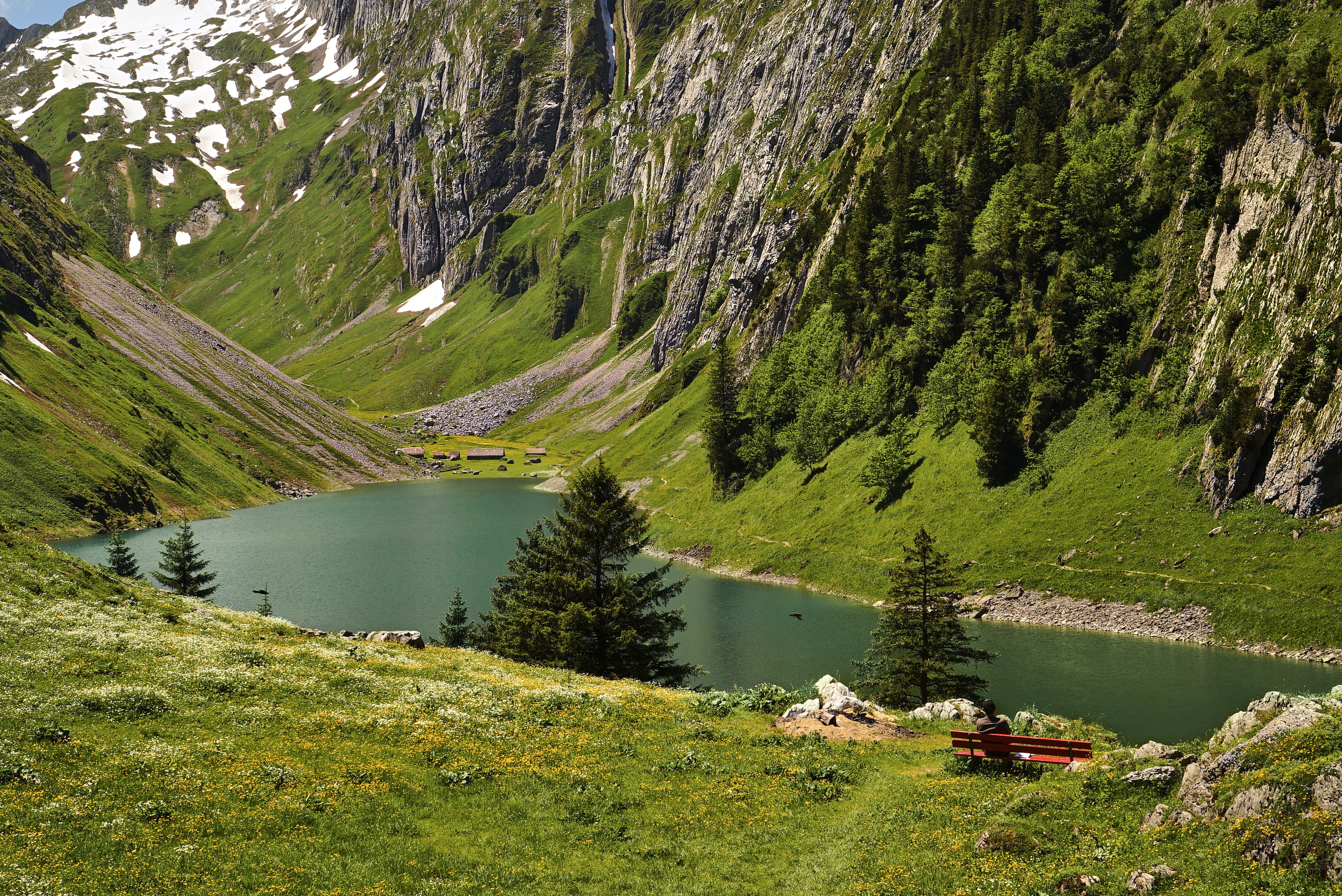 close up, nature, water, scenics, surrounded, trees, body of water, summer, green Color, 4K, Switzerland, forest, body, photo, Swiss, close, mountain, HD Wallpaper