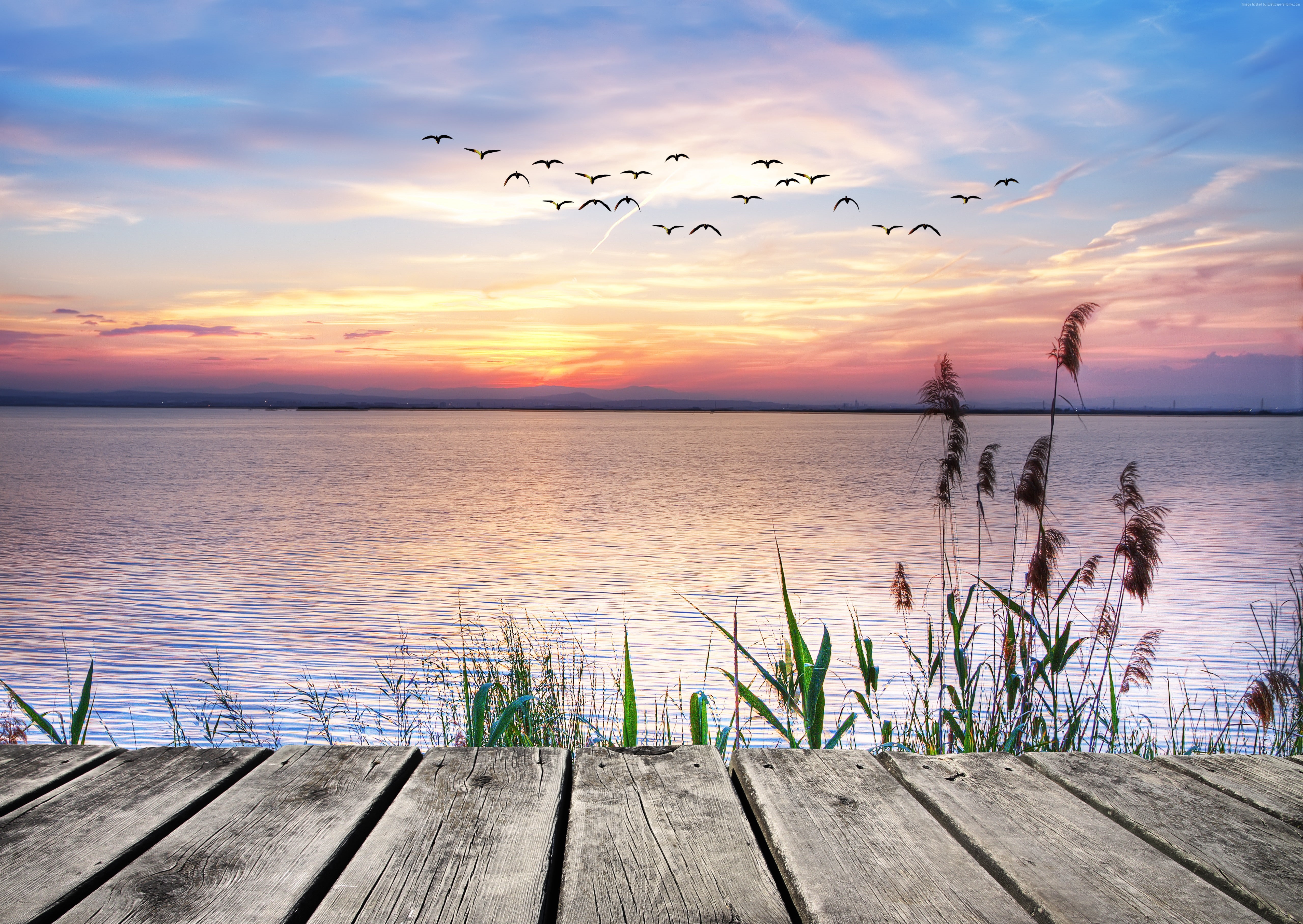 4K, 4k, sea, river, sunset, 8k, 5k, reed, Pierce, HD Wallpaper