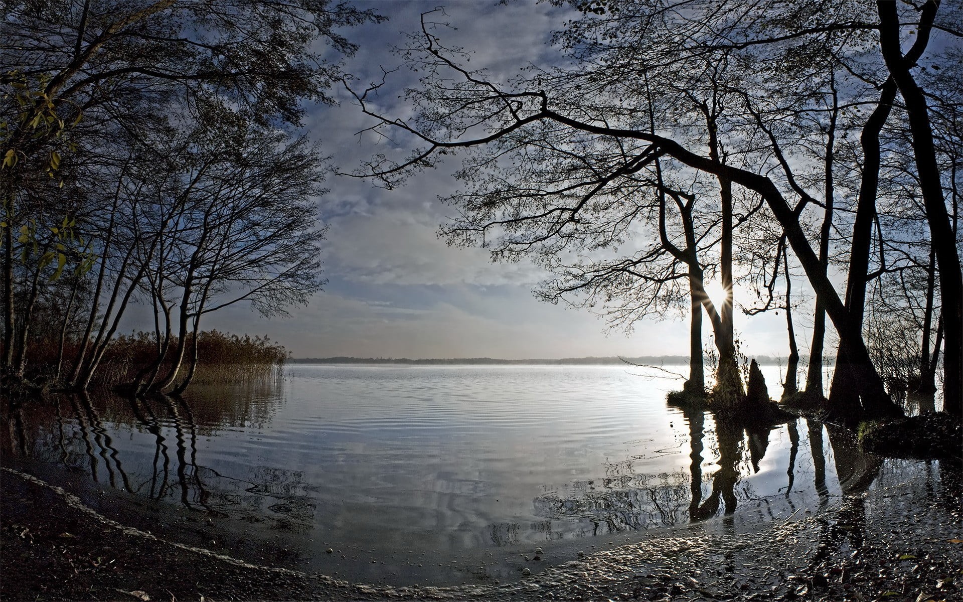 non-urban scene, tree, no people, white, water, trunk, outdoors, reeds, tranquility, beach, sky, lake, 1080P, plant, beauty in nature, reflection, tranquil scene, HD Wallpaper