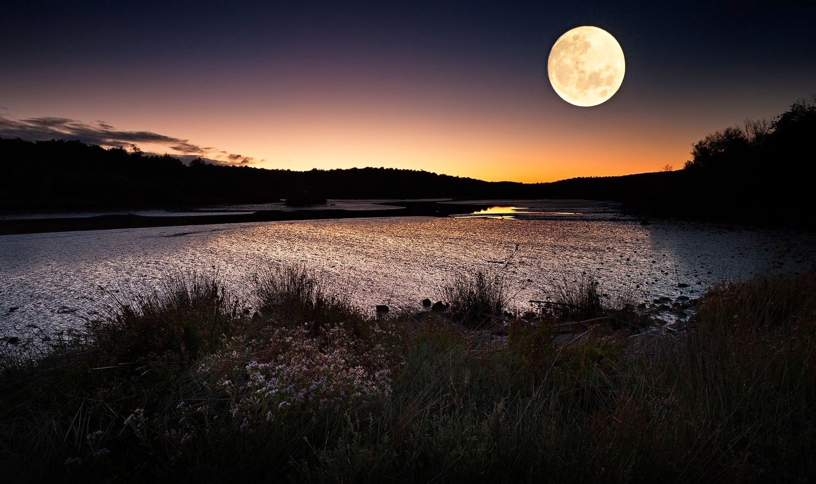 moonlight, digital, sky, hills, tree, beauty in nature, tranquility, full moon, astronomy, outdoors, water, tranquil scene, plant, space, full, HD Wallpaper