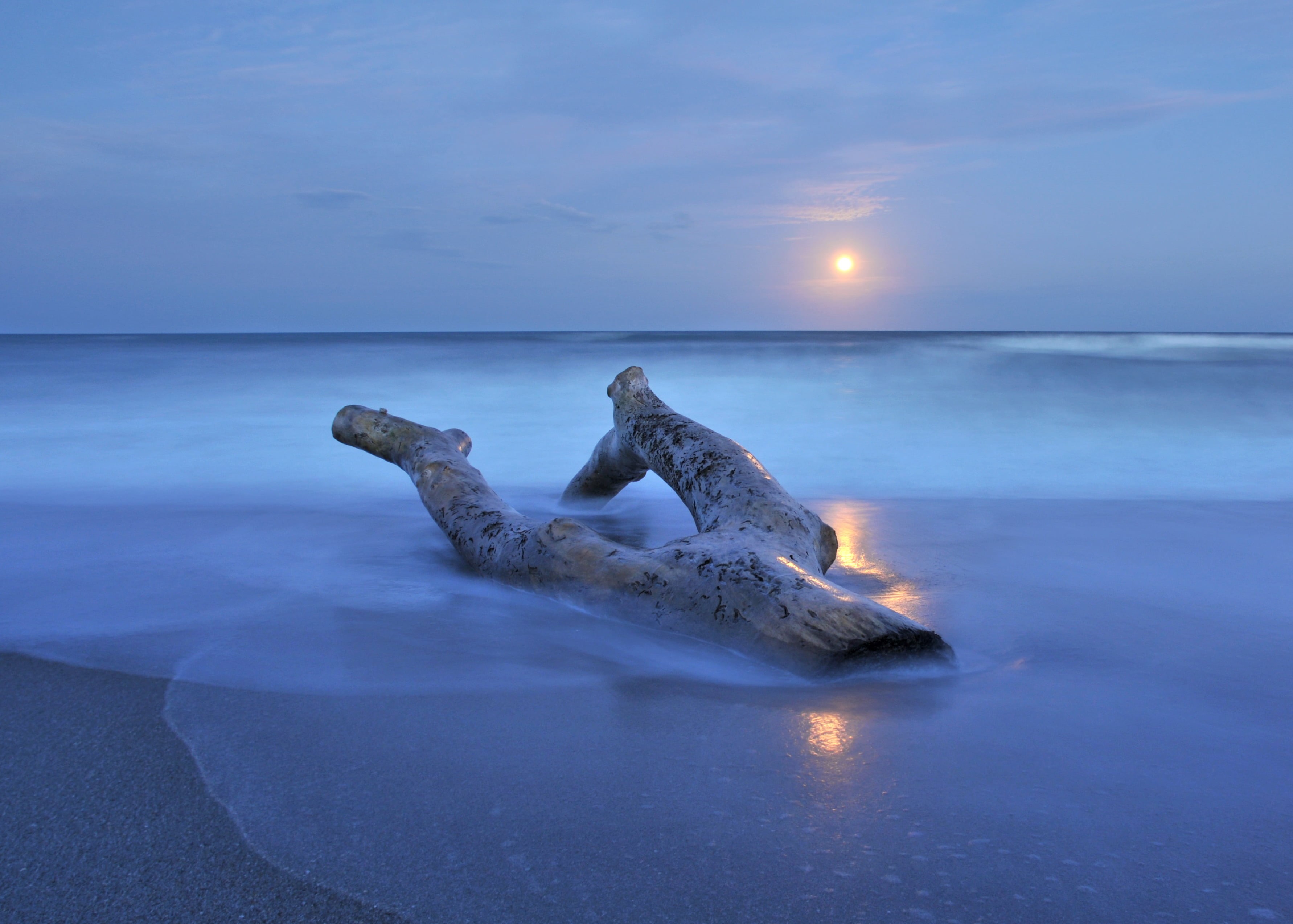 long  exposure, nature, sky, sea, beach, coastline, landscape, water, driftwood, body, sunset, ocean  beach, body of water, atlantic  ocean, pineda, blue, HD Wallpaper