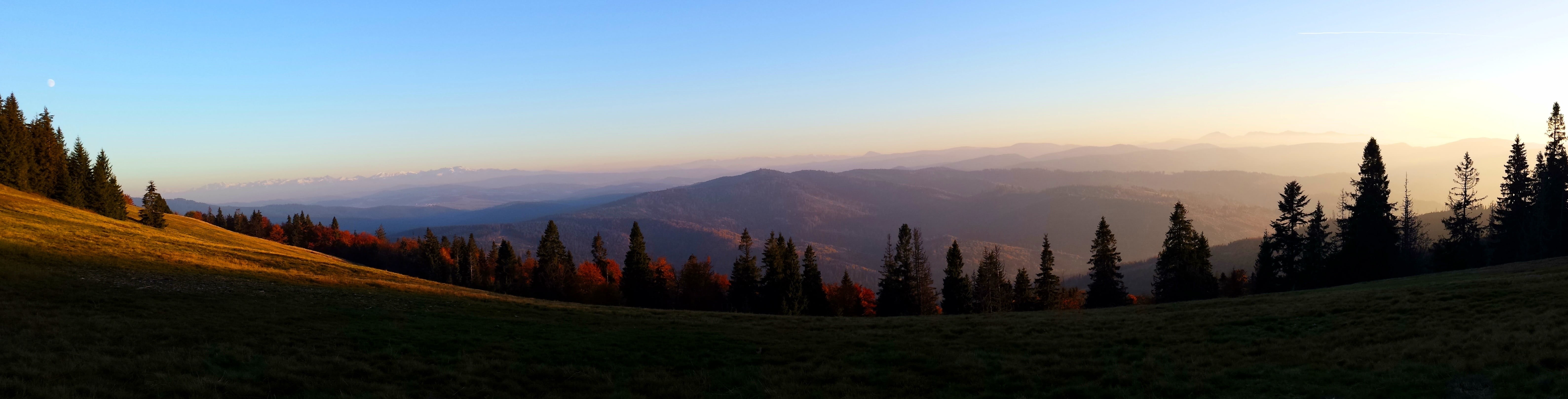 forest, scenics, hiking, outdoors, mountain, pine tree, sky, silhouette, panorama, tops, meadow, beskids, tranquility, panoramic, hill, trees, tranquil scene, HD Wallpaper