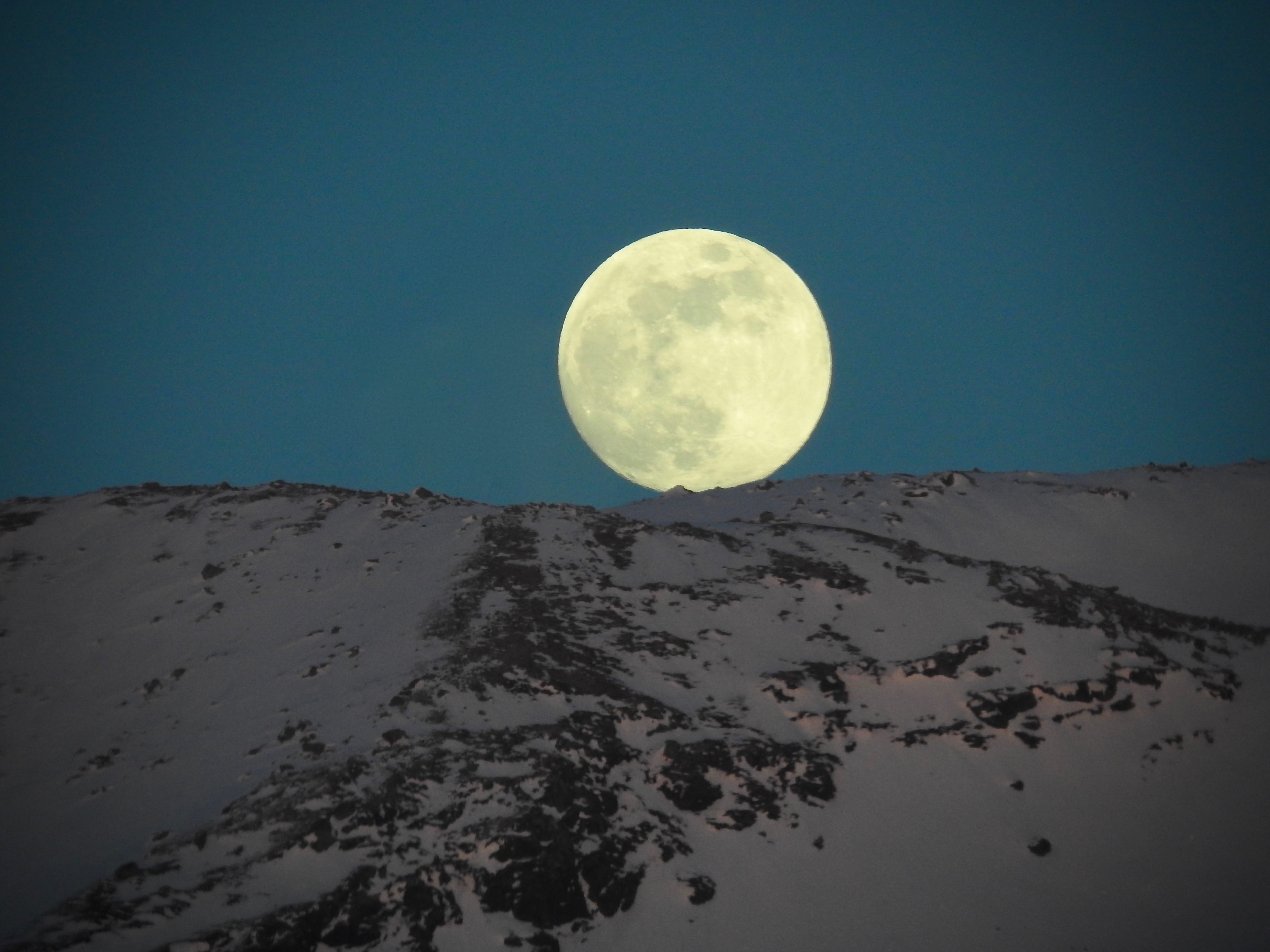 planetary moon, moonlight, blue, round, beauty in nature, sky, scenics - nature, winter, tranquility, moon, idyllic, mountain, dusk, middagsfjellet, covered, HD Wallpaper