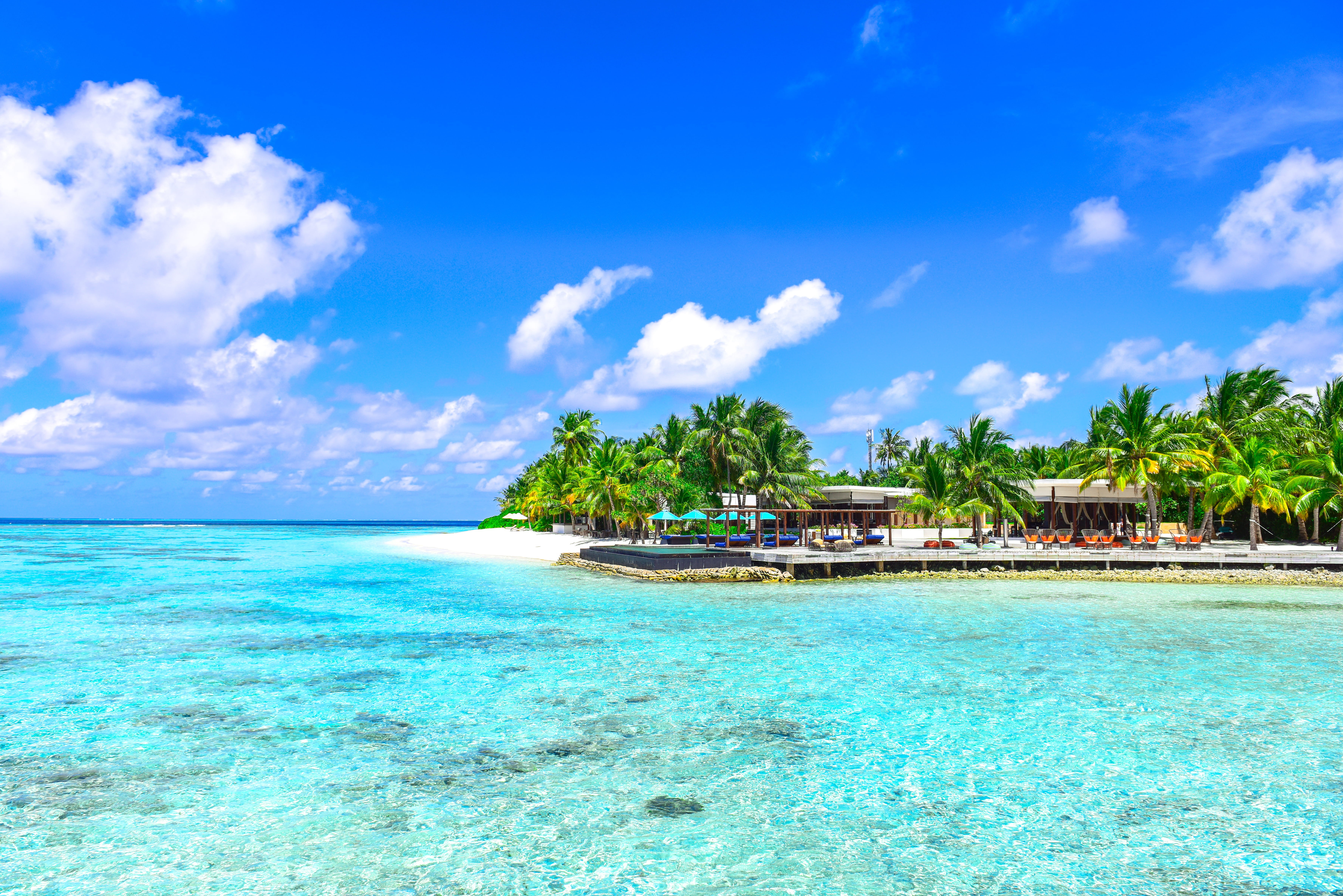 water, resort, shore, horizon over water, beauty in nature, outdoors, environment, tree, daytime, oceanside, sea, day, trees, coast, tropical, turquoise colored, HD Wallpaper