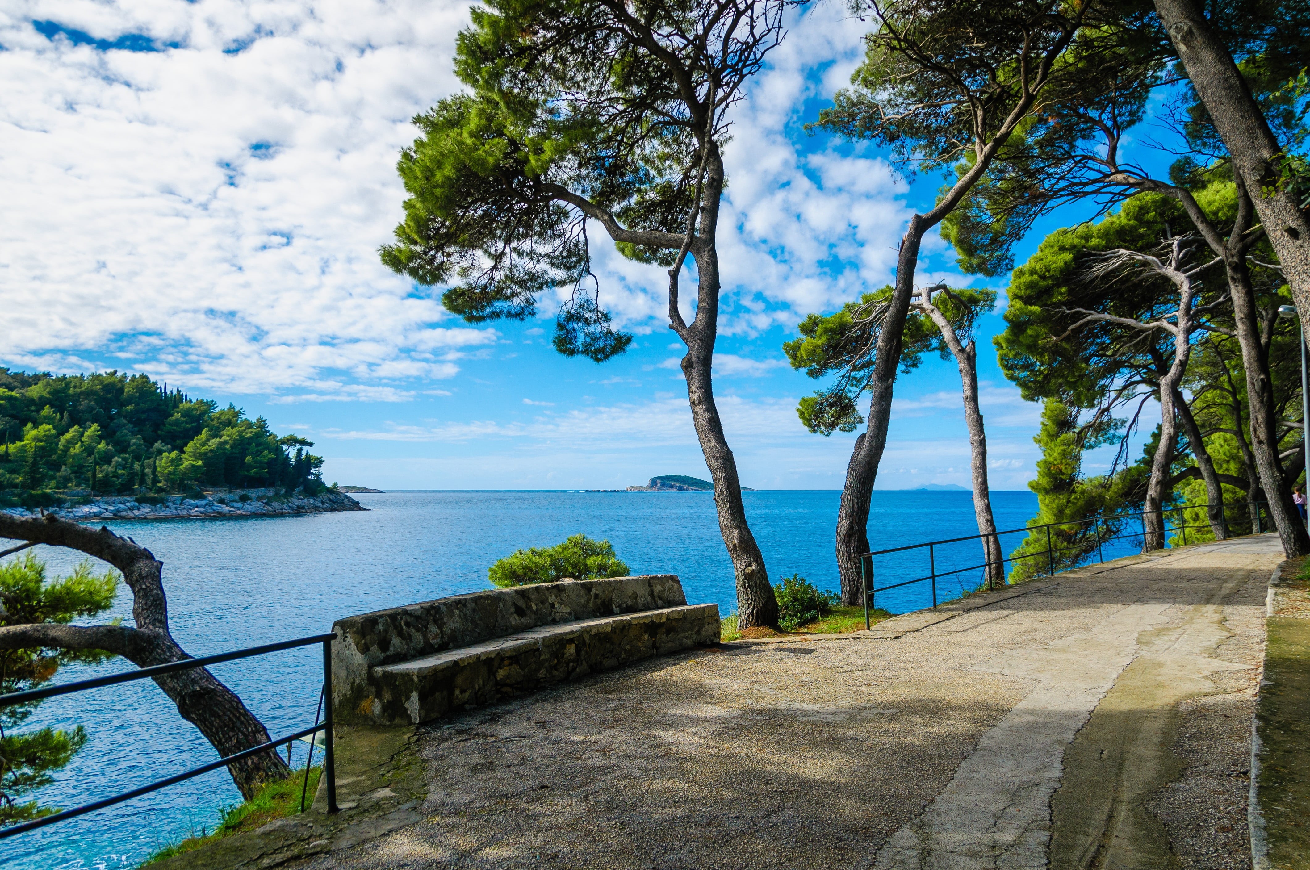 plant, clear, outdoor, growth, tourist, cloud - sky, adriatic, coastal, nature, coast, ocean, shore, day, tranquil scene, view, tourism, tree, coastline, HD Wallpaper