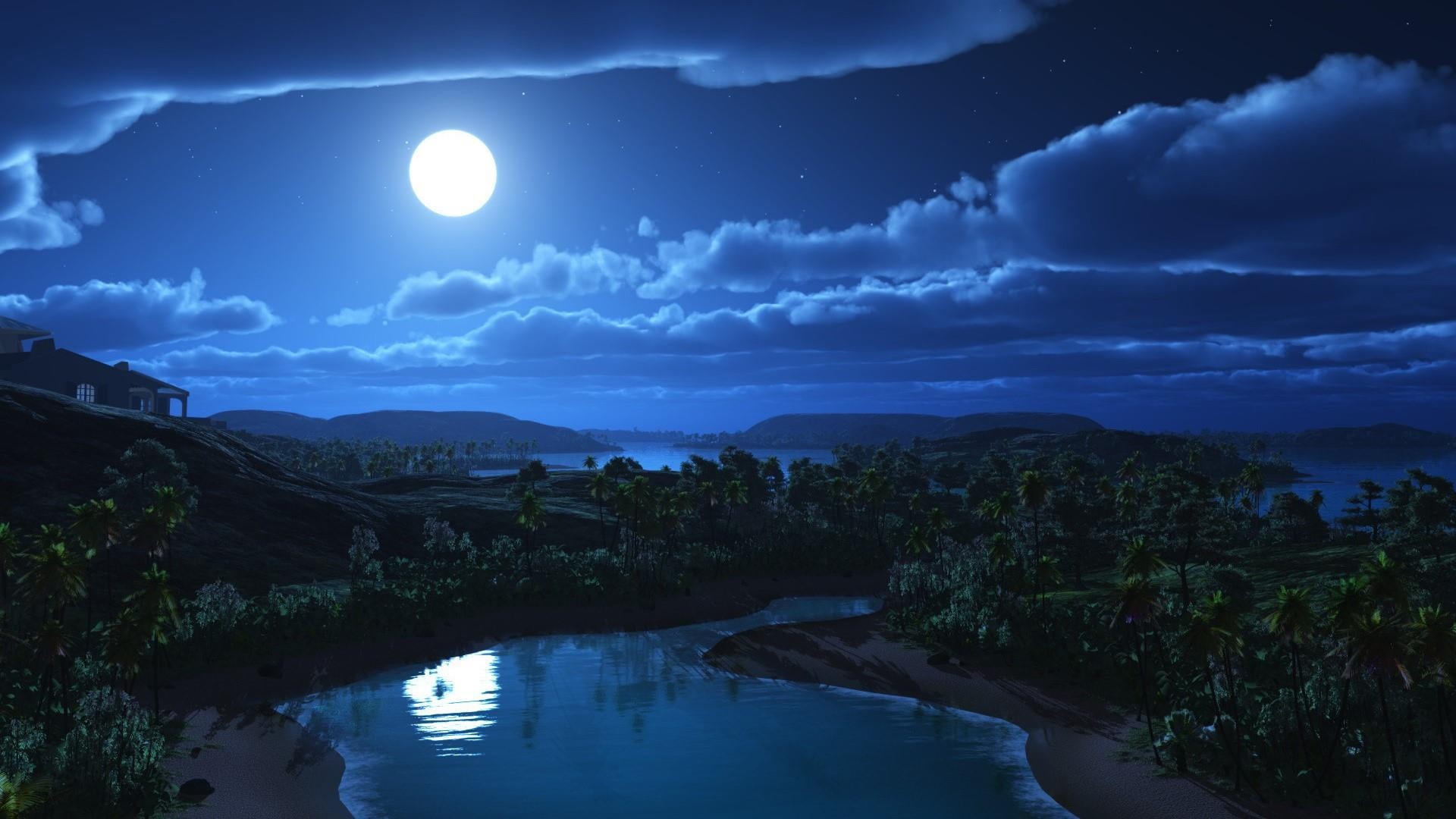 full moon, beauty in nature, tranquil scene, tranquility, sky, tree, fantasy art, moonlight, reflection, night, nature, scenics - nature, 1080P, plant, HD Wallpaper