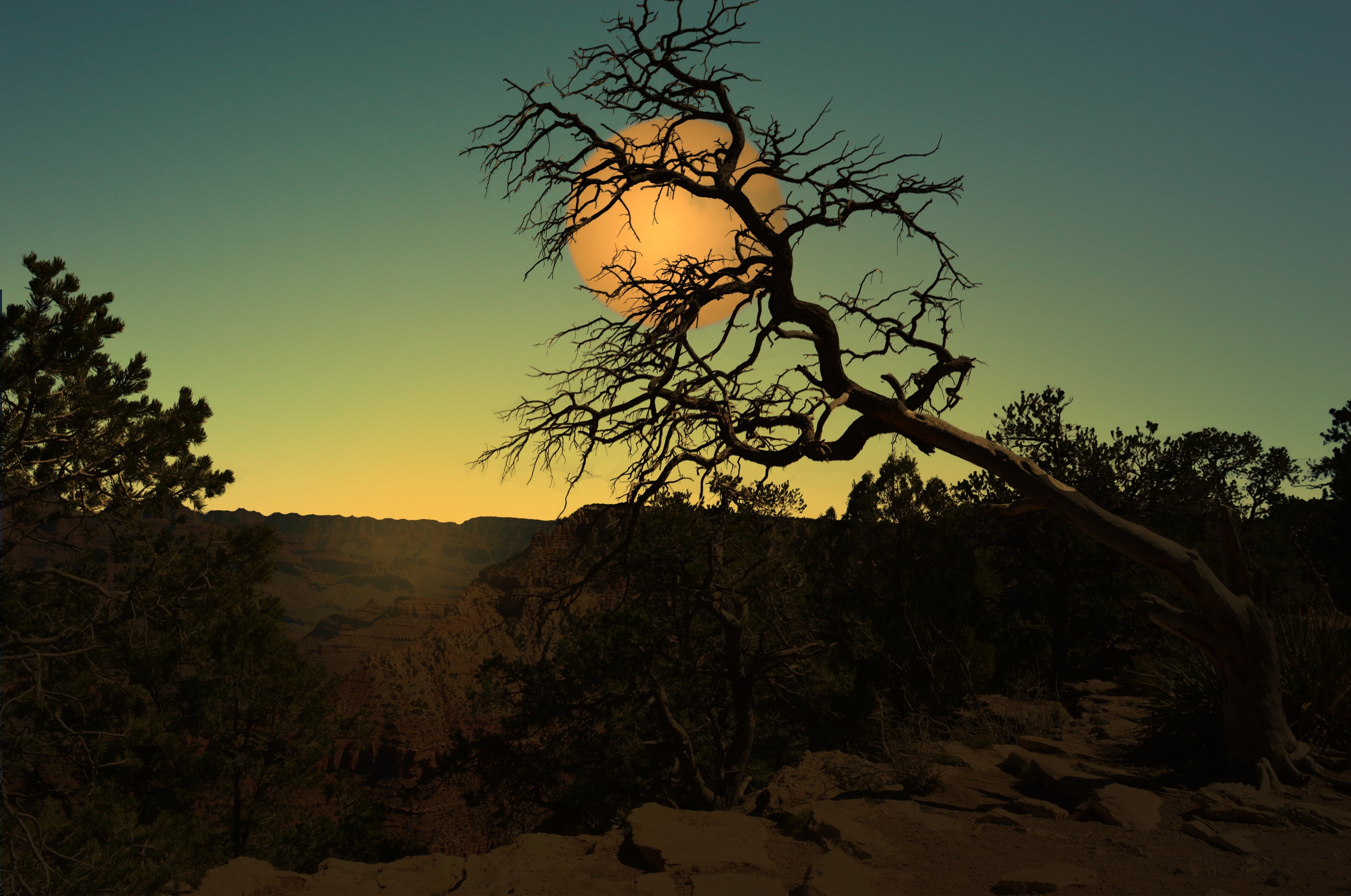 darken, vegetation, station, branch, night, nature, rock - object, solid, tree, 4K, beside, light, rock, sky, blue sky, sunset, no people, outdoors, beauty in nature, HD Wallpaper