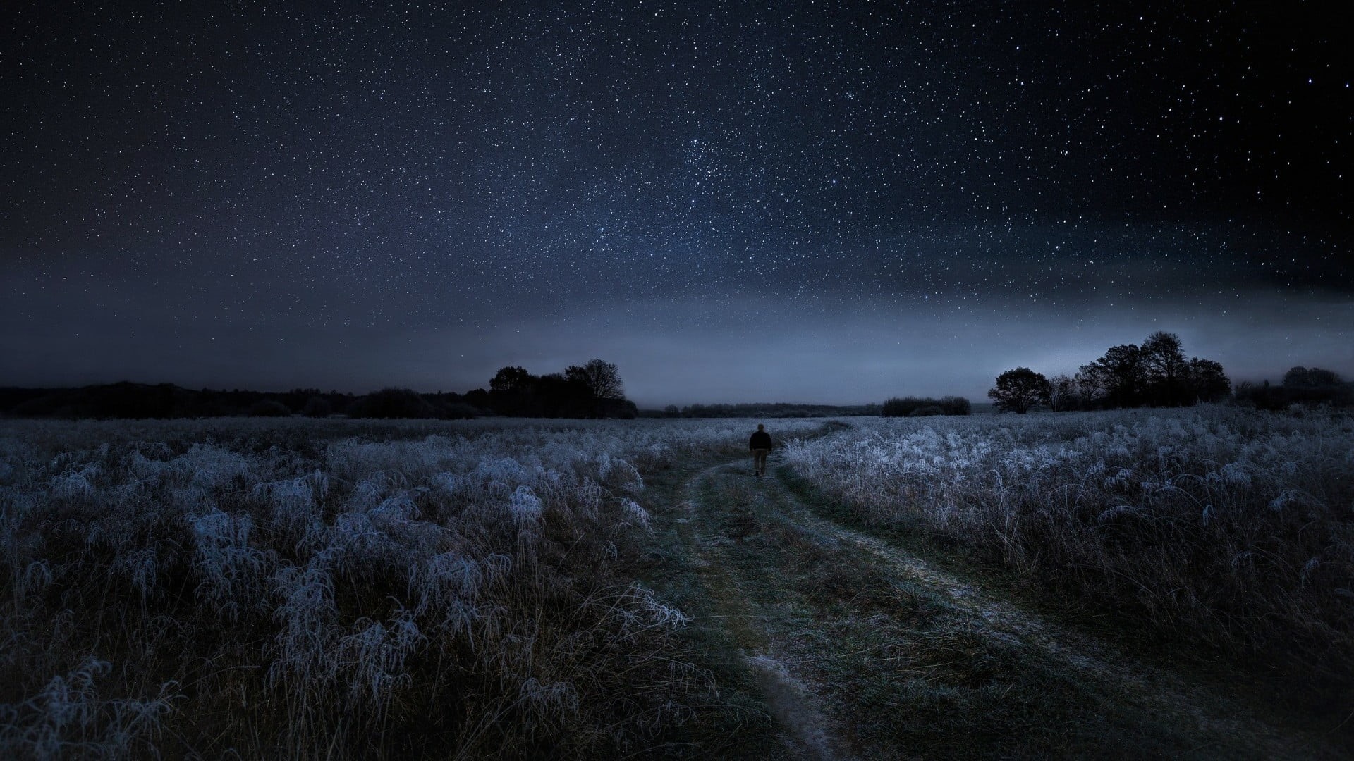 footpath, night sky, darkness, morning, galaxy, tranquil scene, starry night, astronomy, nature, moonlight, field, landscape, freezing, plant, star - space, HD Wallpaper