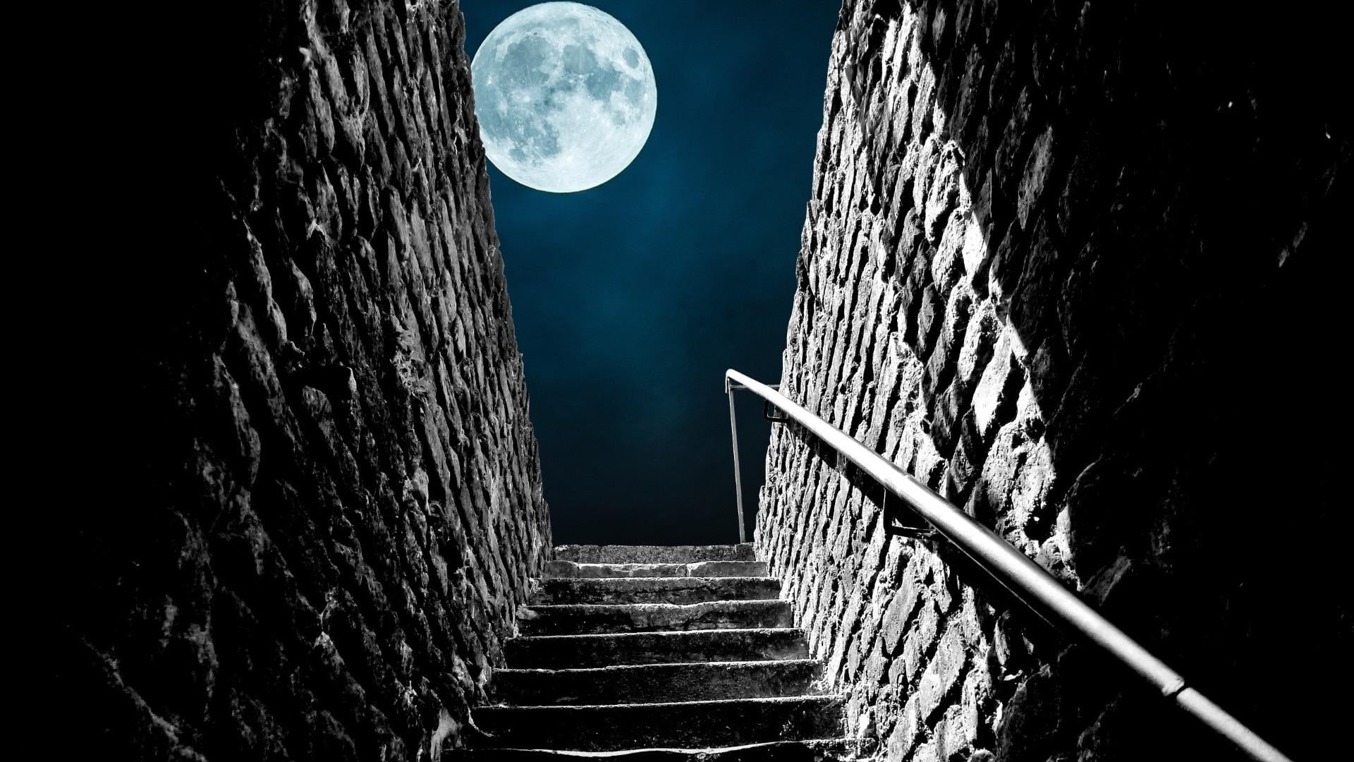 no people, steps and staircases, tree, the way forward, nature, building exterior, darkness, moonlight, moon, outdoors, railing, light, astronomy, midnight, HD Wallpaper