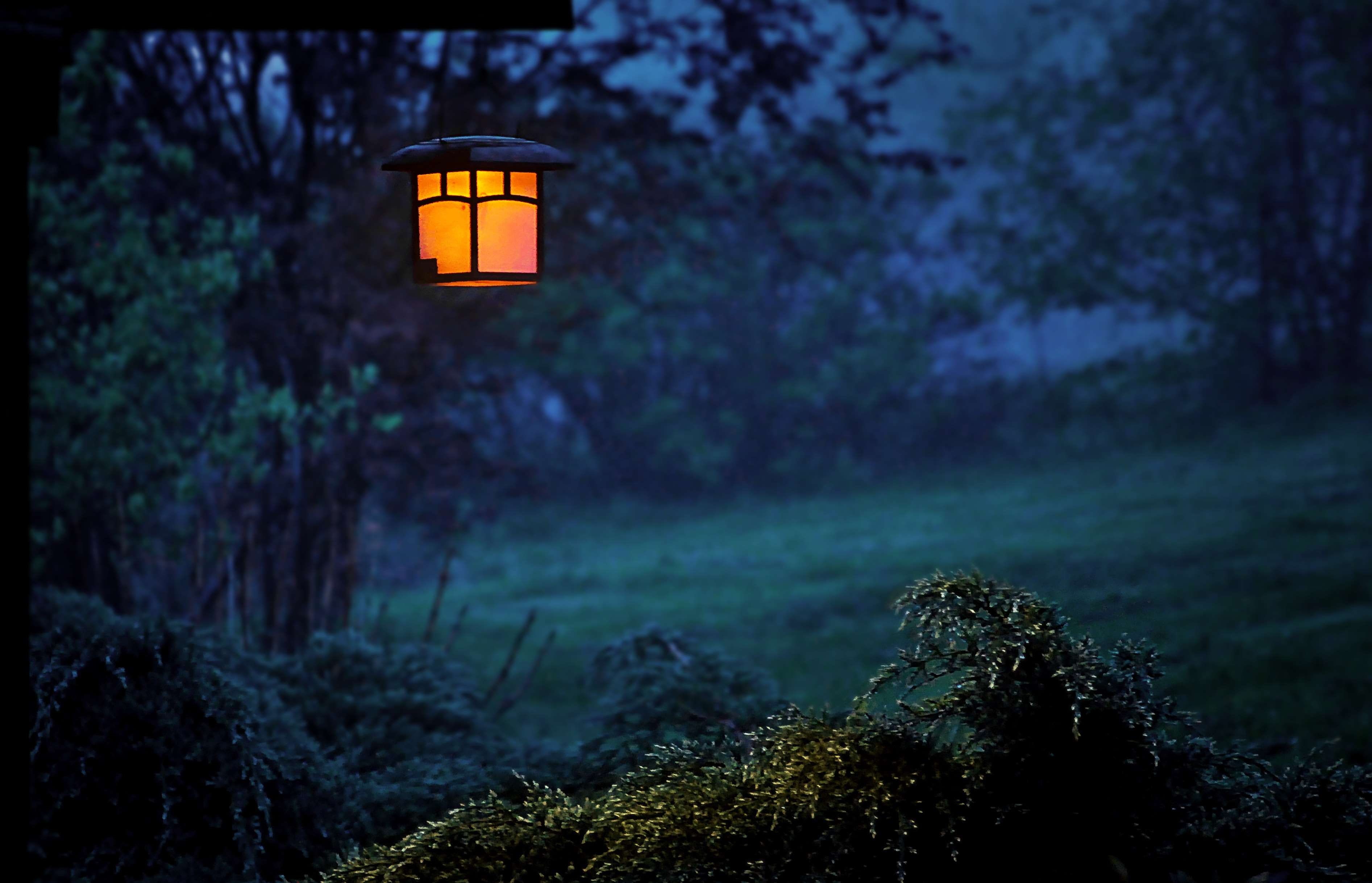 dark, land, foggy, lighting equipment, plant, architecture, scenics - nature, beauty in nature, evening, trees, eerie, environment, green color, cold, electric lamp, HD Wallpaper
