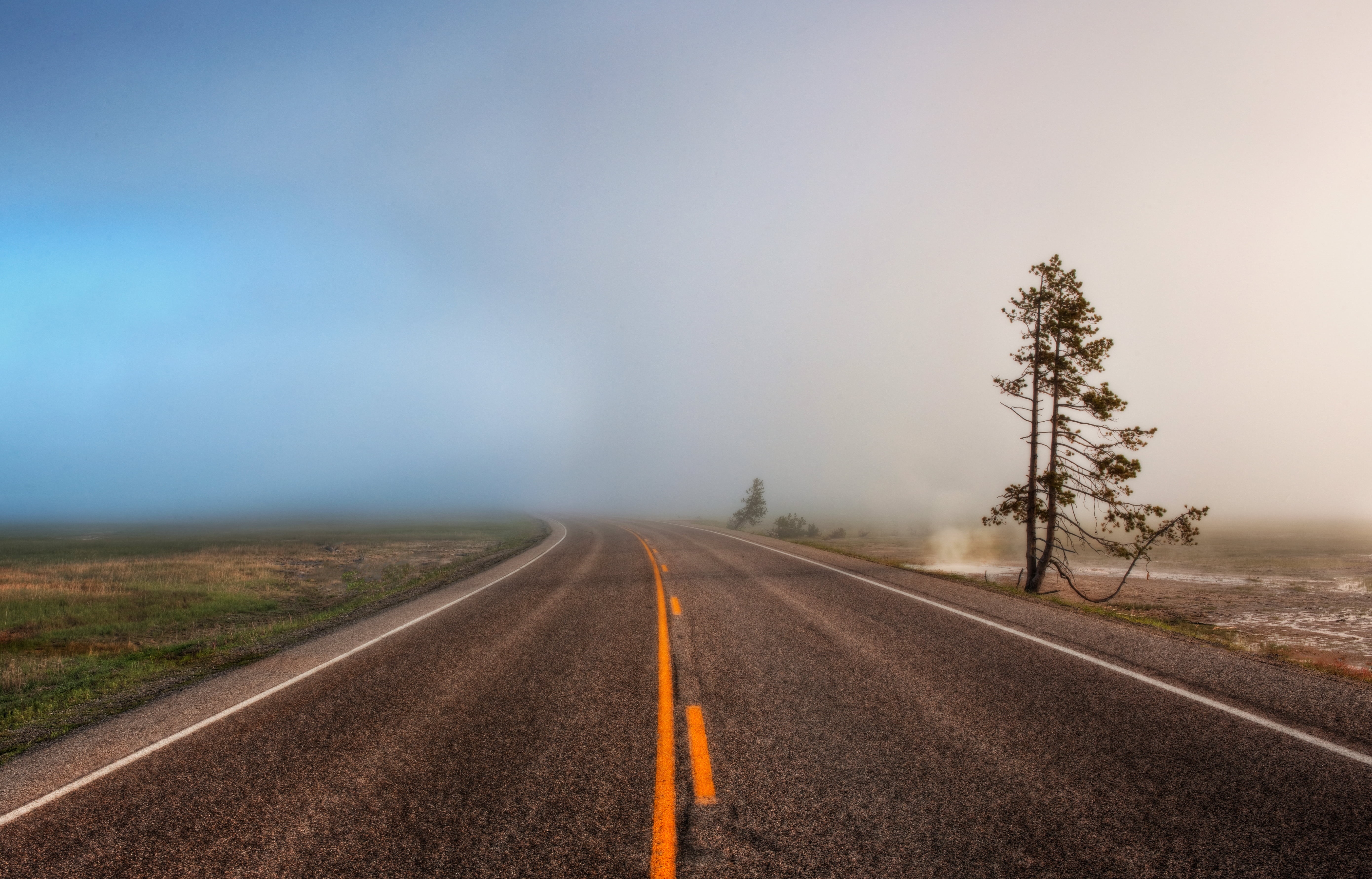 customs, green, travel, tutorial, leaf, park  west, travel  blog, lone  tree, scenic, nature, beside, road trip, world, visibility, digital, asphalt, blind, HD Wallpaper