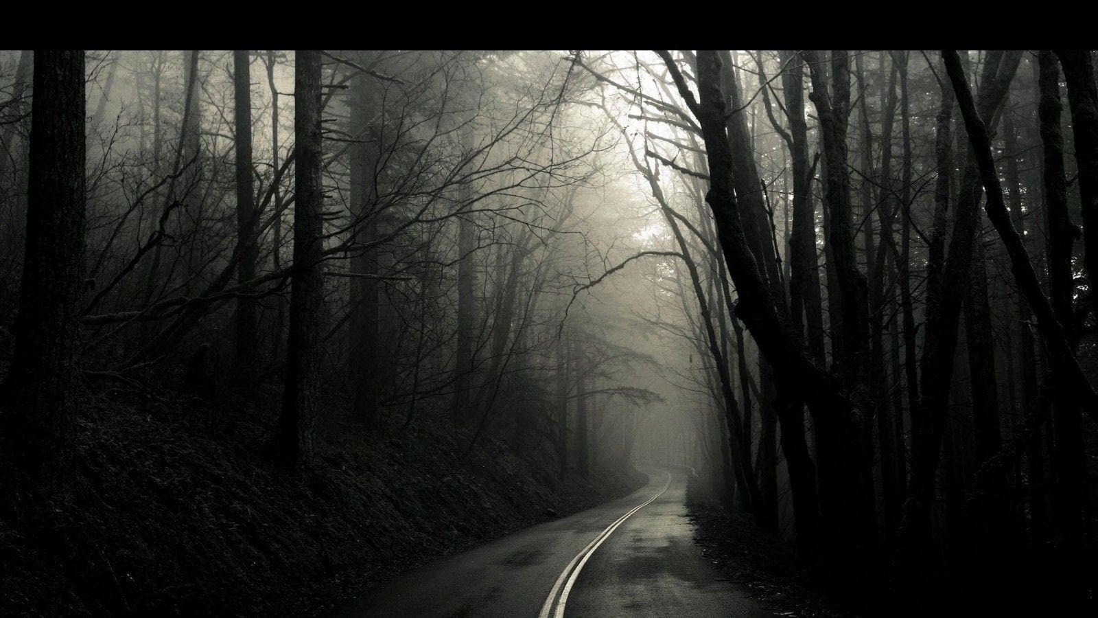 outdoors, diminishing perspective, direction, 720P, tranquil scene, land, plant, tranquility, nowhere dark eerie trees road nightmare, the way forward, HD Wallpaper