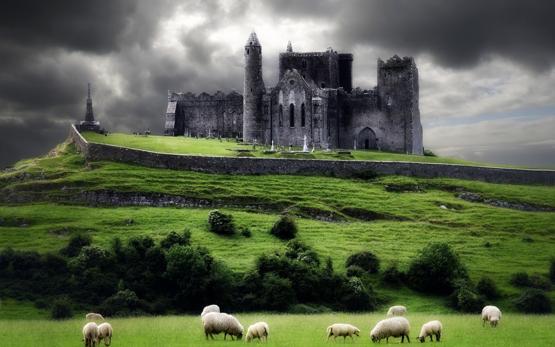 livestock, grass, field, domestic animals, built structure, mammal, ancient civilization, history, nature, animal, overcast, cathedral, building exterior, HD Wallpaper