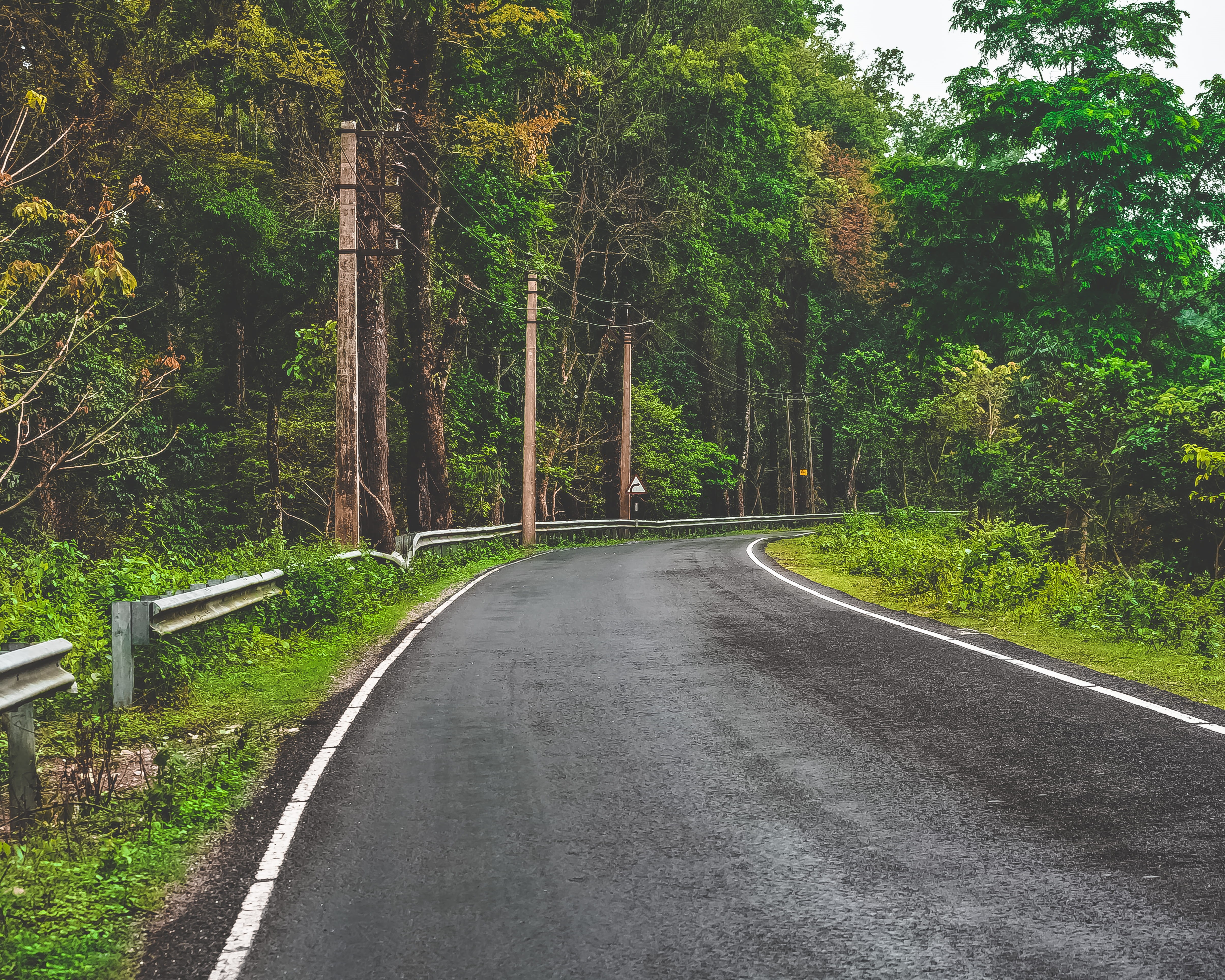 road, background image, symbol, no people, nature, direction, trees, moody image, 4K, grass, outdoors, empty, growth, beauty in nature, plant, HD Wallpaper