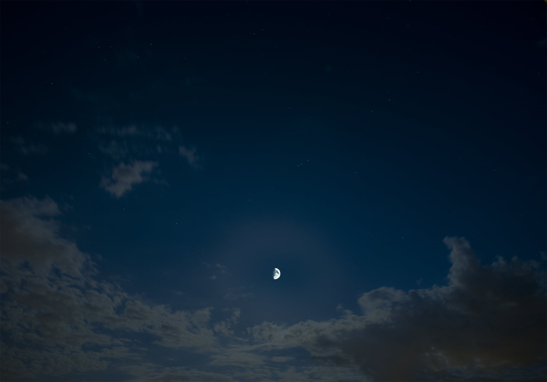 beauty in nature, low angle view, space, clouds, sky, nature, animal wildlife, star - space, animal, animal themes, cloud - sky, tranquil scene, animals in the wild, HD Wallpaper